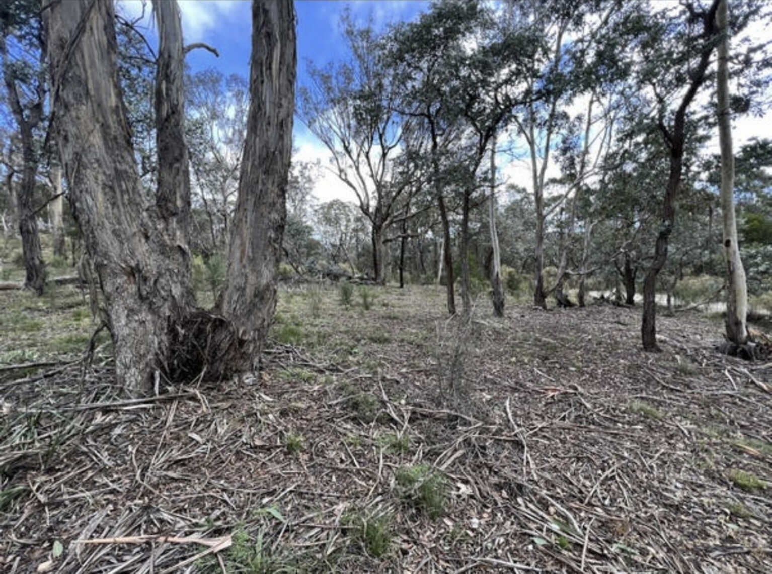 266 Strawberry Creek Road Windellama Goulburn 266 Strawberry Creek Road Windellama Goulburn