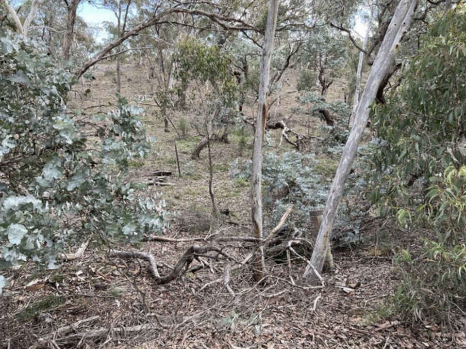 266 Strawberry Creek Road Windellama Goulburn