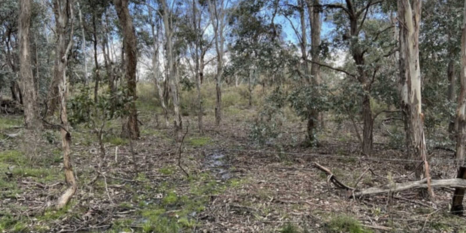 266 Strawberry Creek Road Windellama Goulburn 266 Strawberry Creek Road Windellama Goulburn