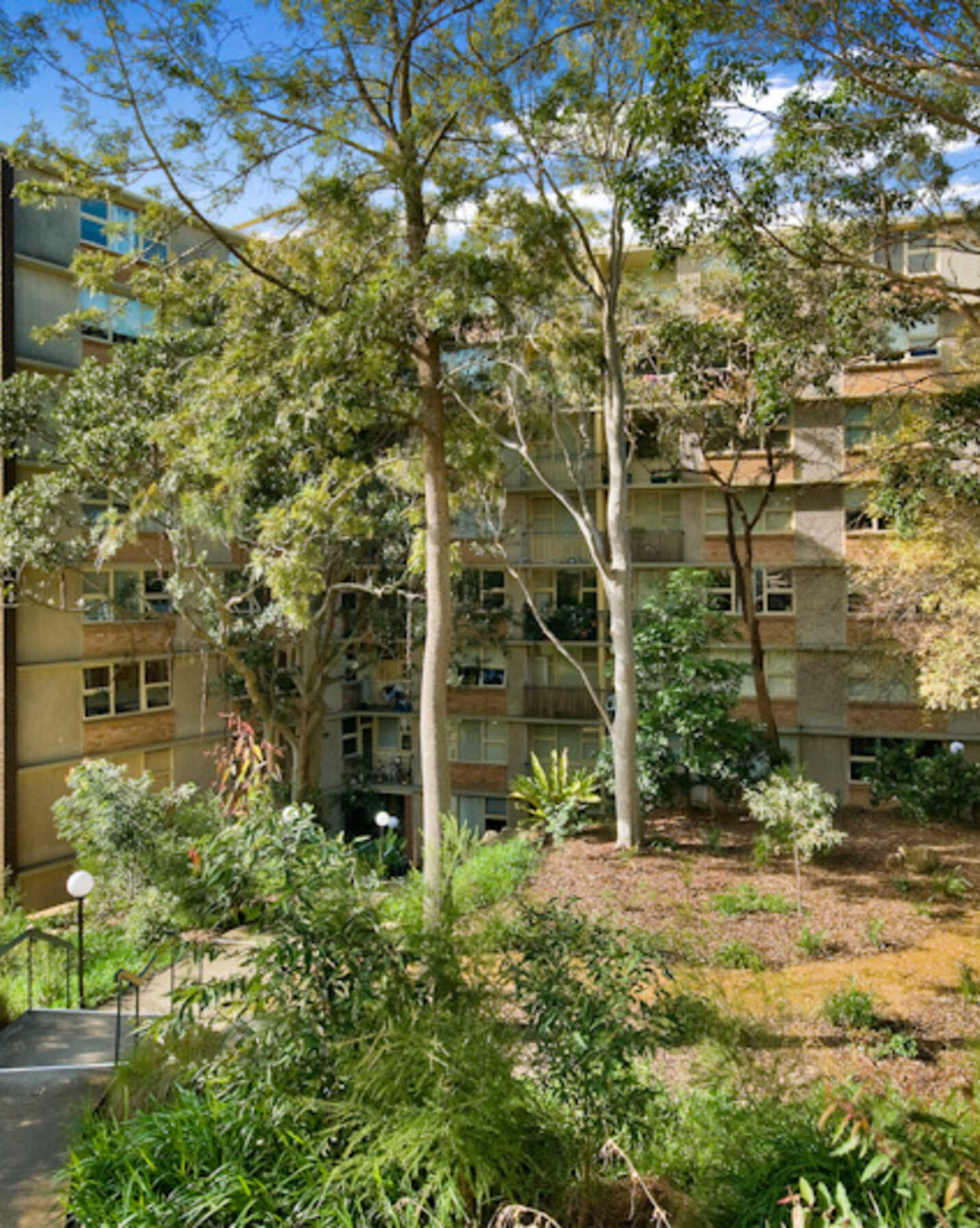 215/22 Doris Street North Sydney, Sydney - Thumbnail 7