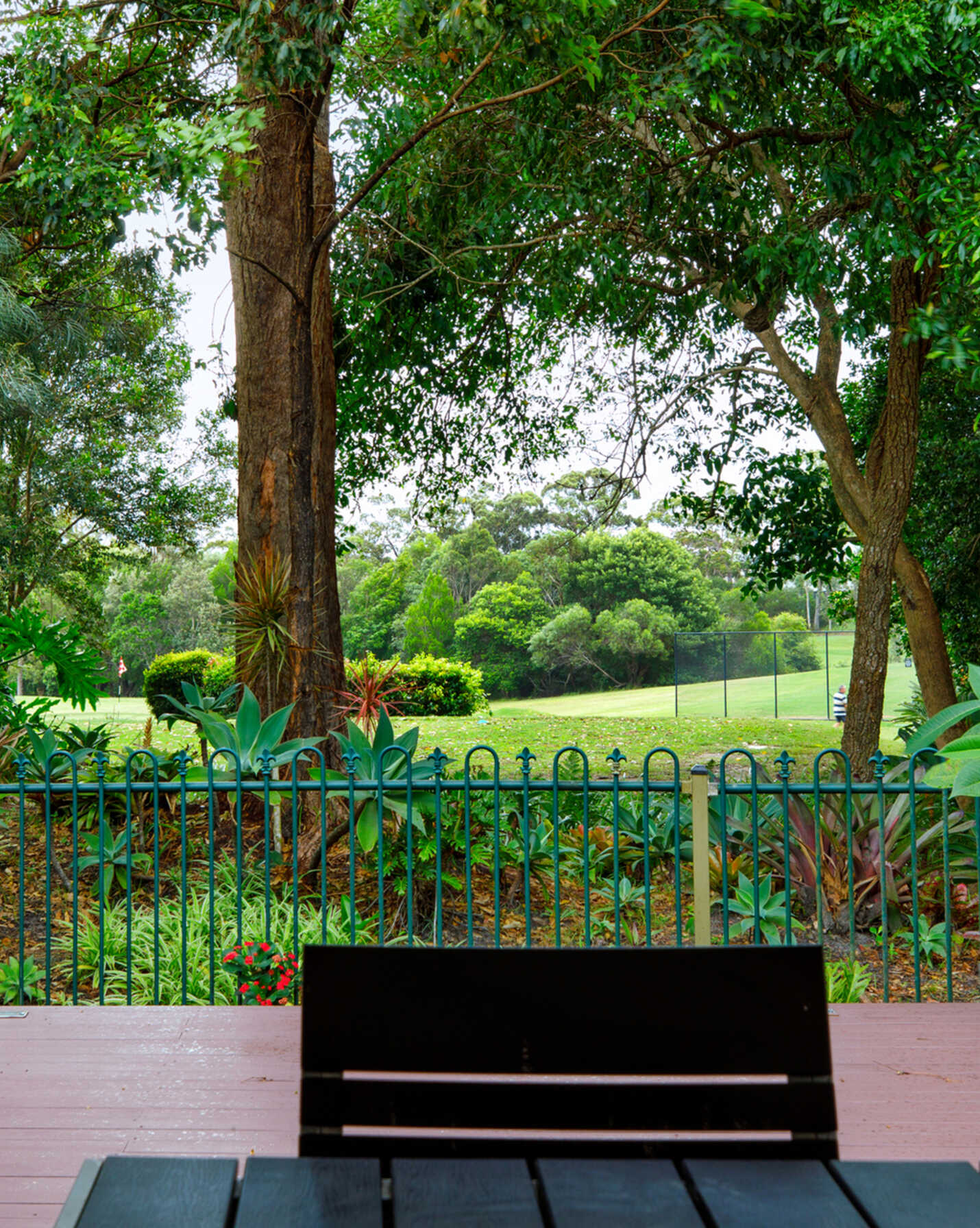 12 Longwood Drive Peregian Springs, Springs - Thumbnail 2