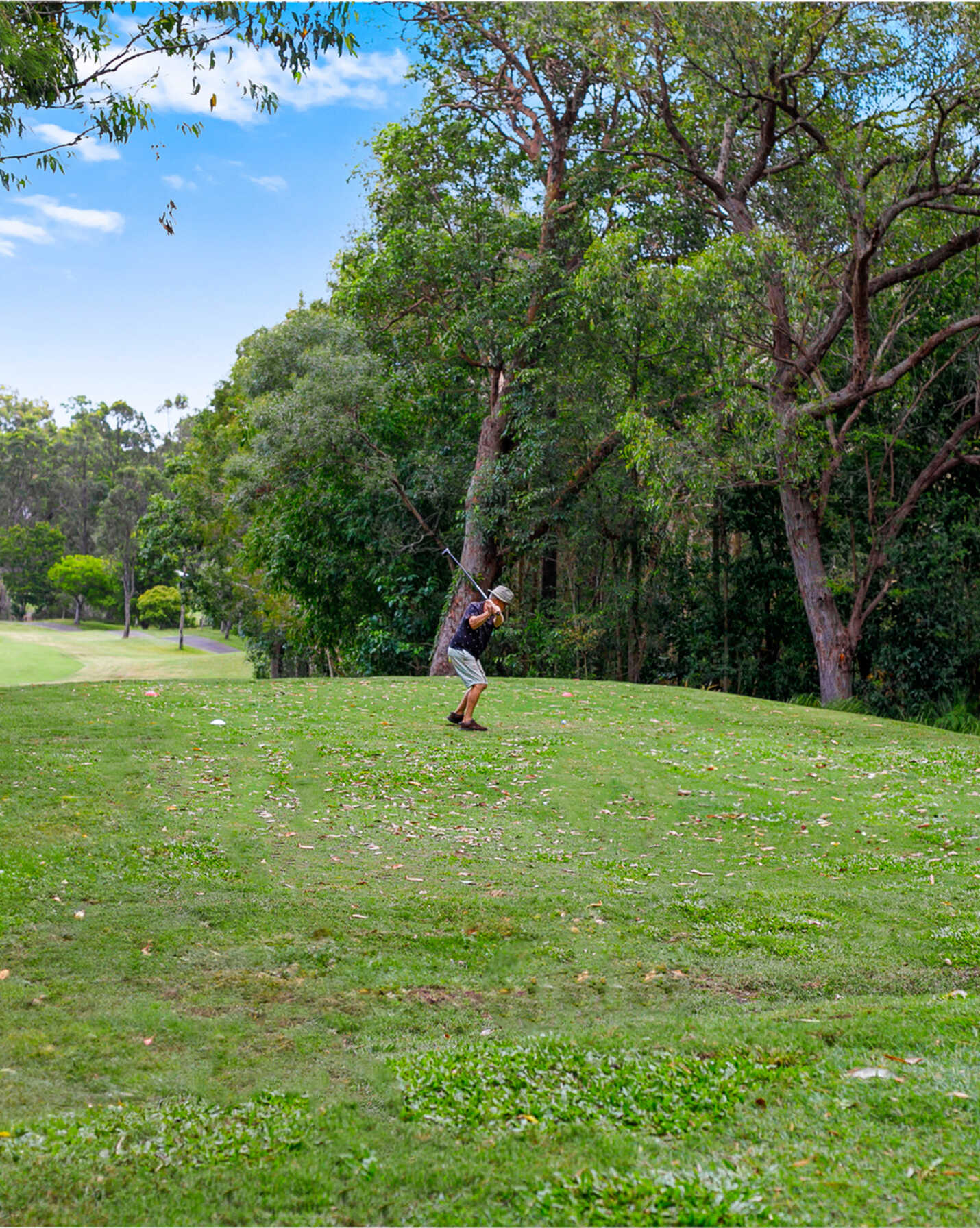12 Longwood Drive Peregian Springs, Springs - Thumbnail 6