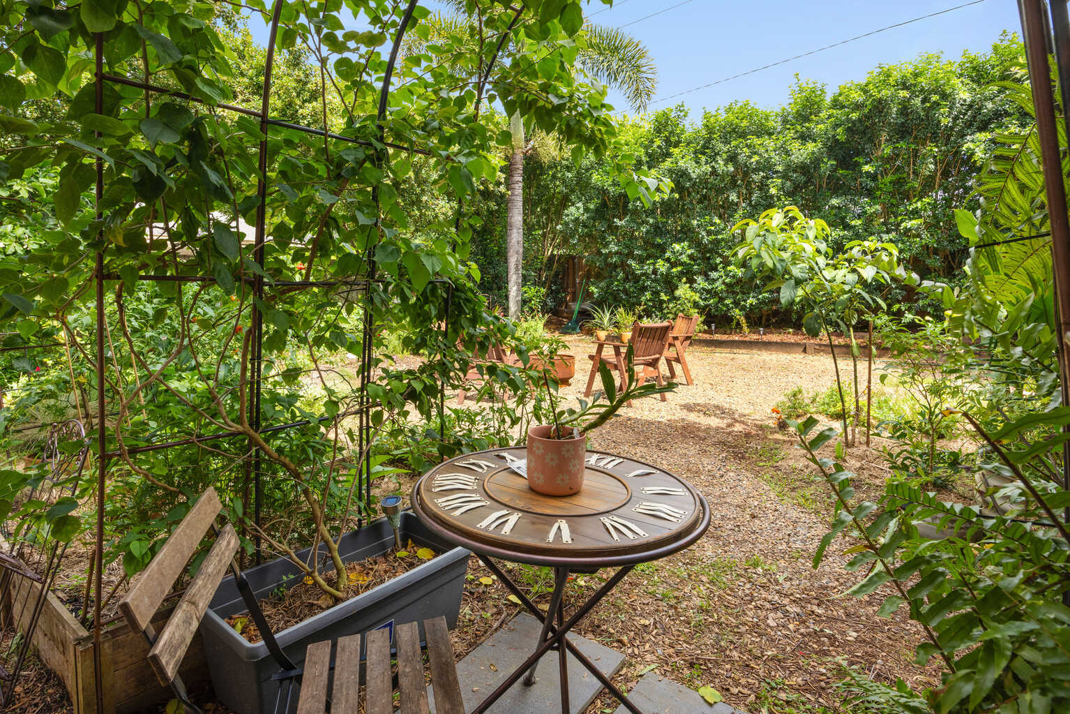 17 Quondong Court Yandina 17 Quondong Court Yandina
