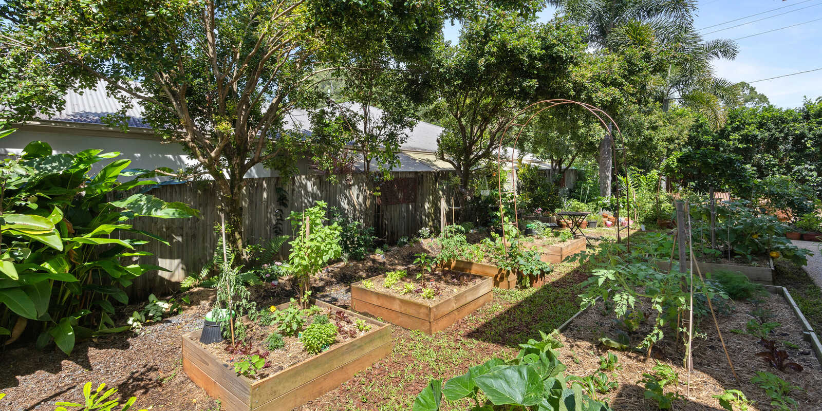 17 Quondong Court Yandina 17 Quondong Court Yandina