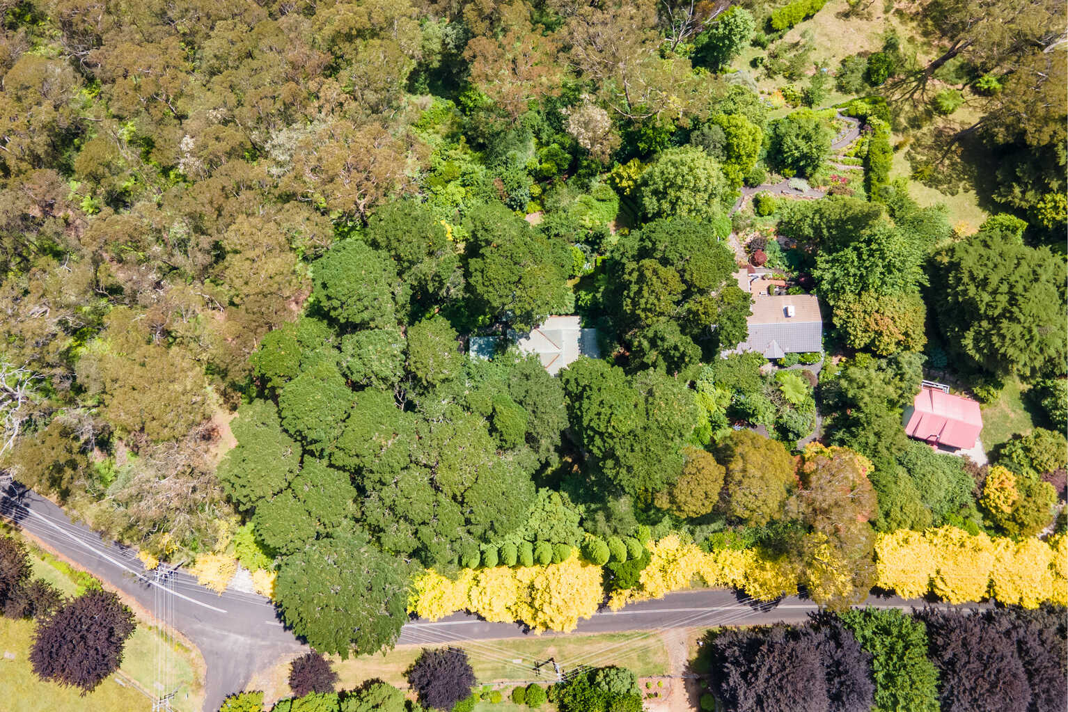 95-97 Mount Irvine Road Mount Wilson 95-97 Mount Irvine Road Mount Wilson