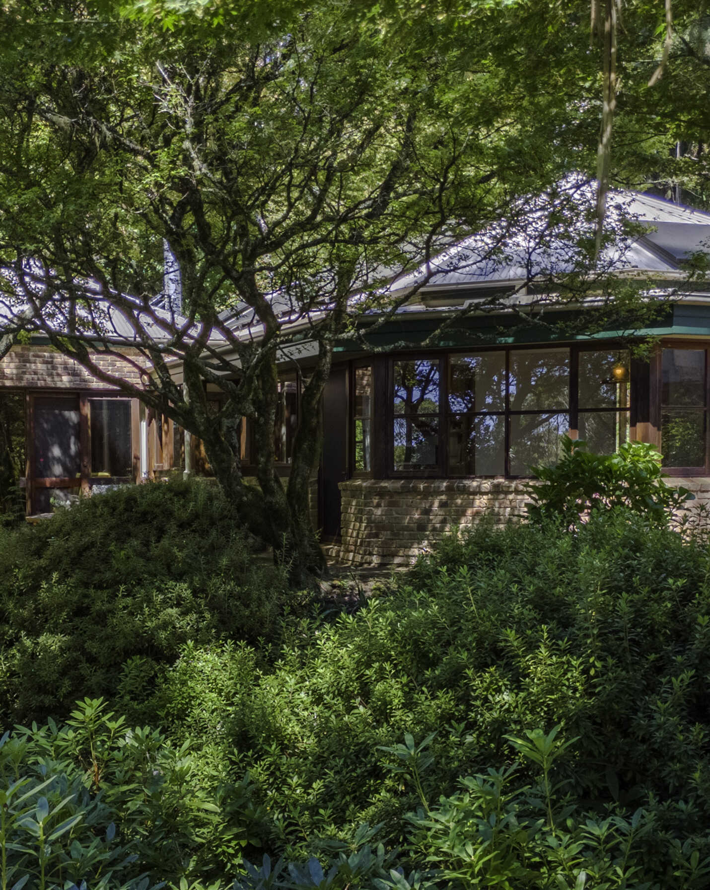 20 Church Lane Mount Wilson, Wilson - Thumbnail 6