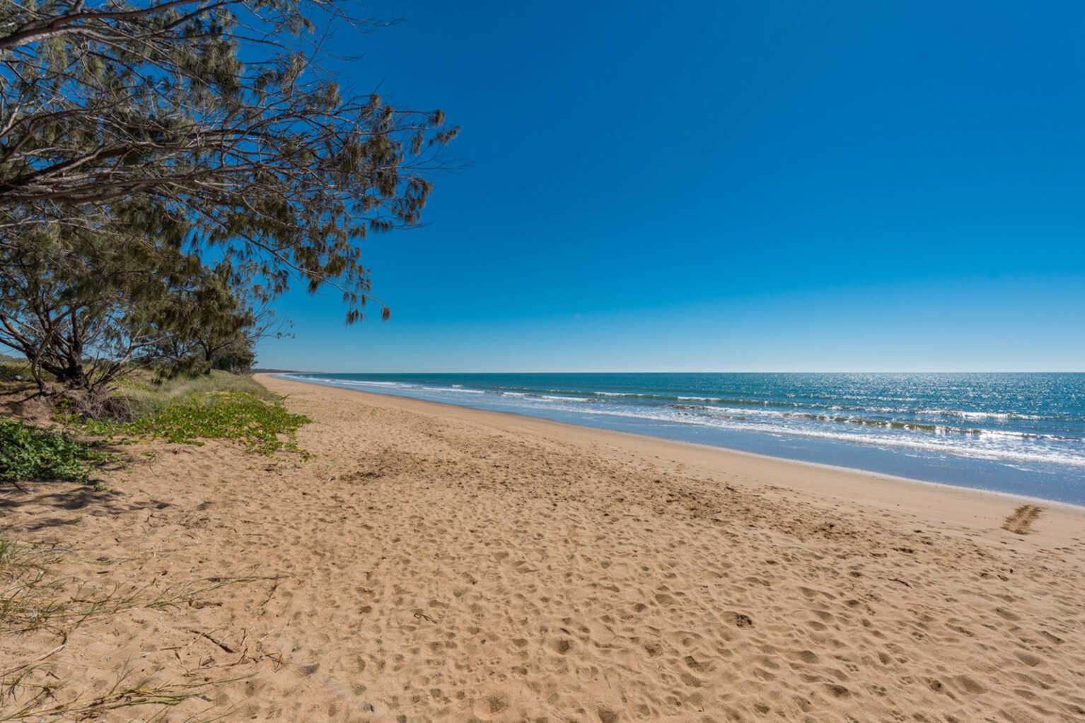 54 Palm View Drive Moore Park Beach 54 Palm View Drive Moore Park Beach
