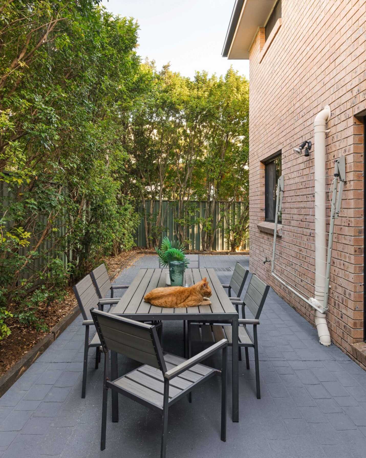 78B Belmore Road Peakhurst, Peakhurst - Thumbnail 5