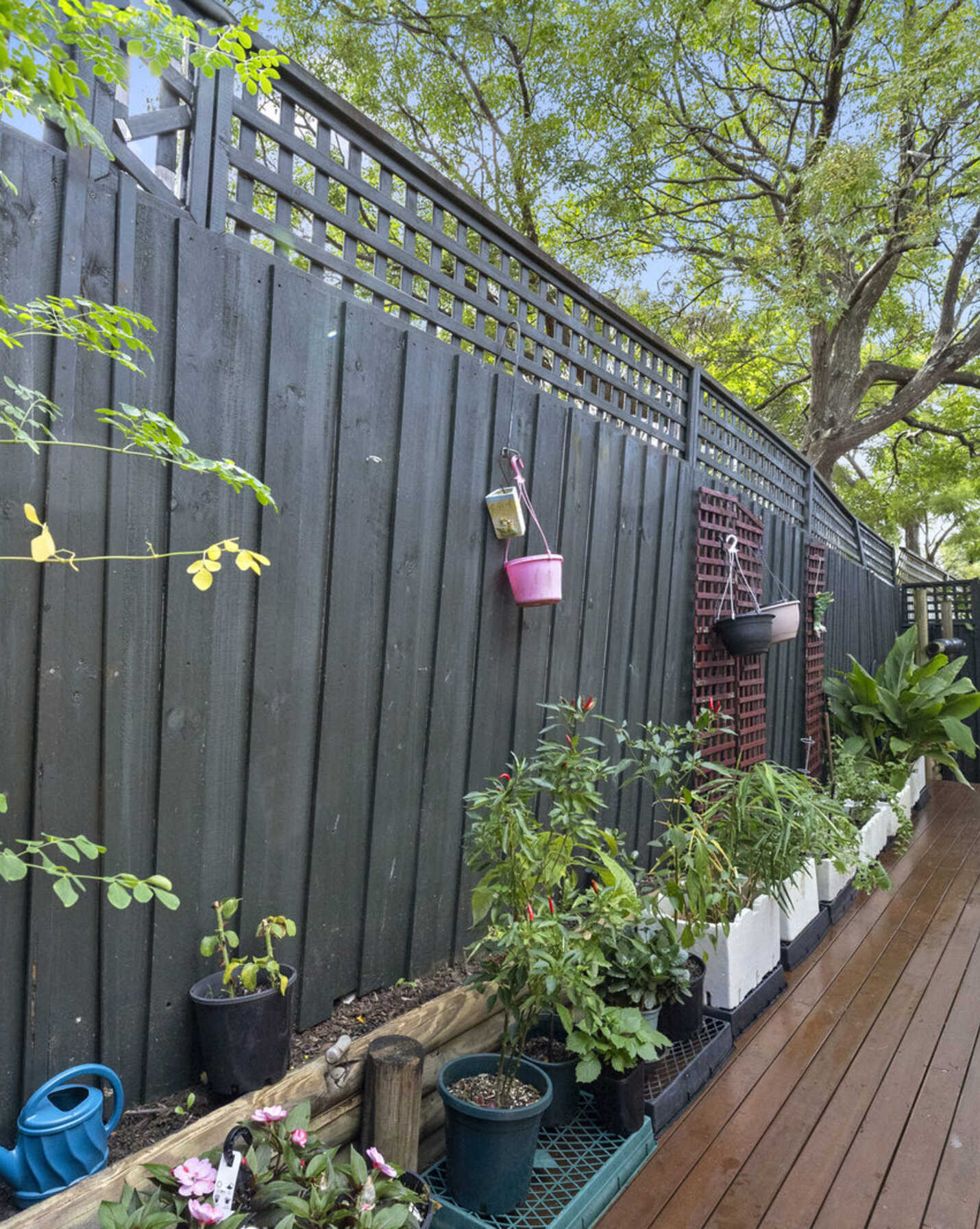 1/56 Denistone Road Denistone, Denistone - Thumbnail 7