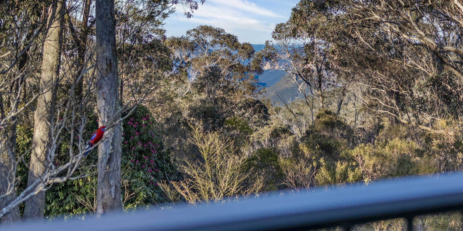 18 Days Crescent Blackheath 18 Days Crescent Blackheath