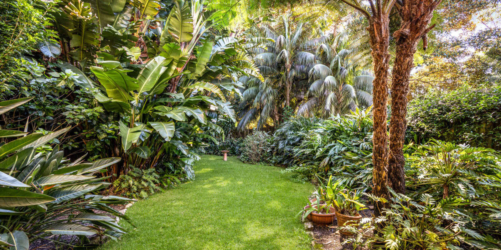 5 Pacific Street Watsons Bay