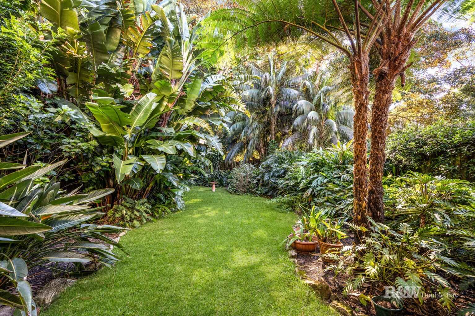 5 Pacific Street Watsons Bay