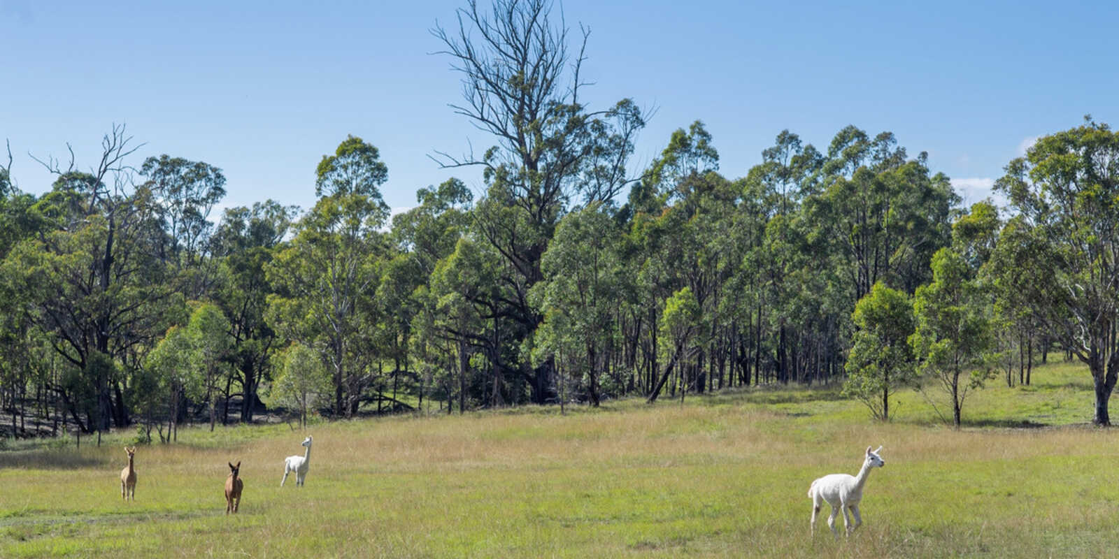 5368 Oallen Ford Road Bungonia Goulburn