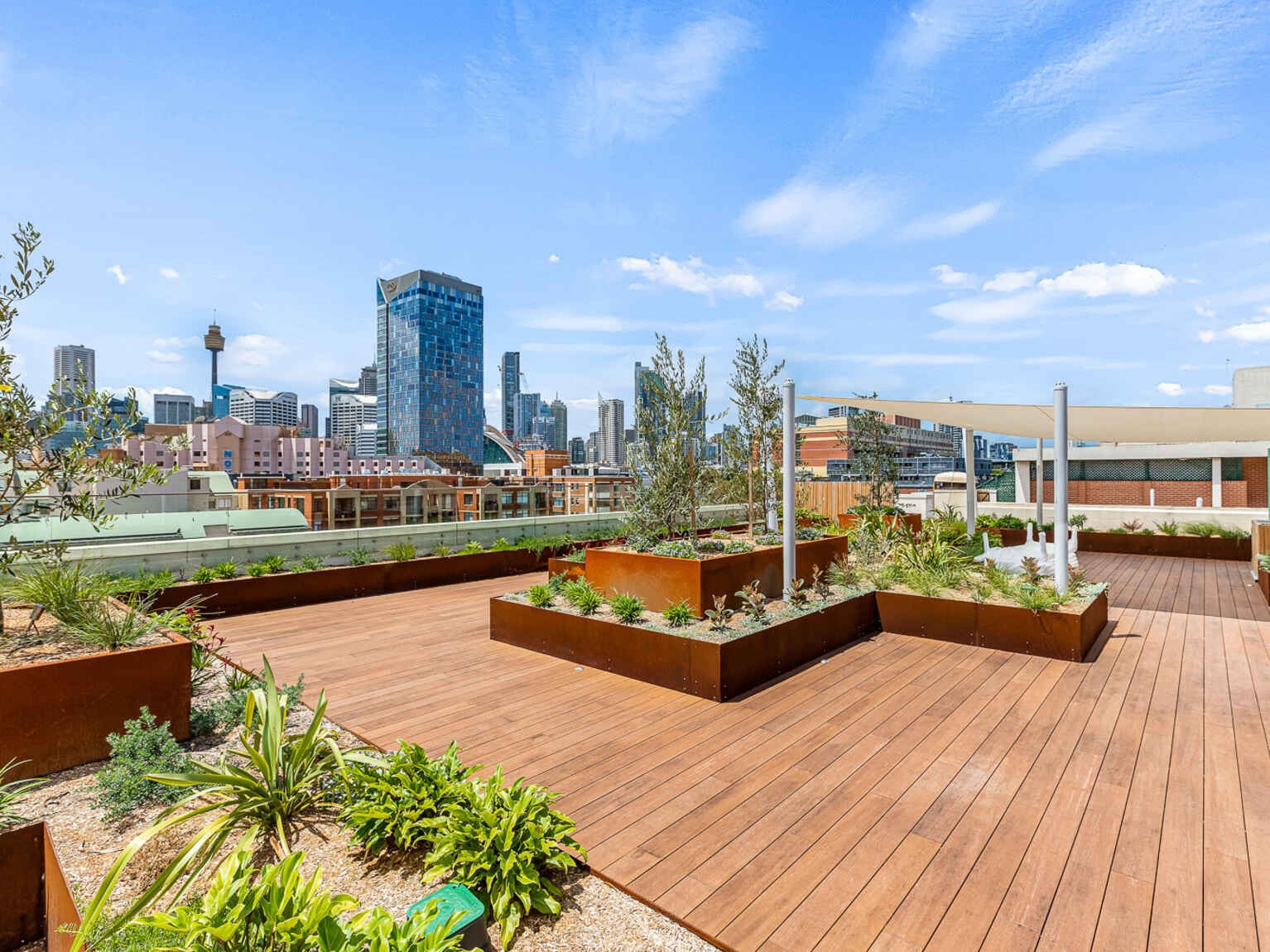 Level 1/N109/233 Harris Street Pyrmont
