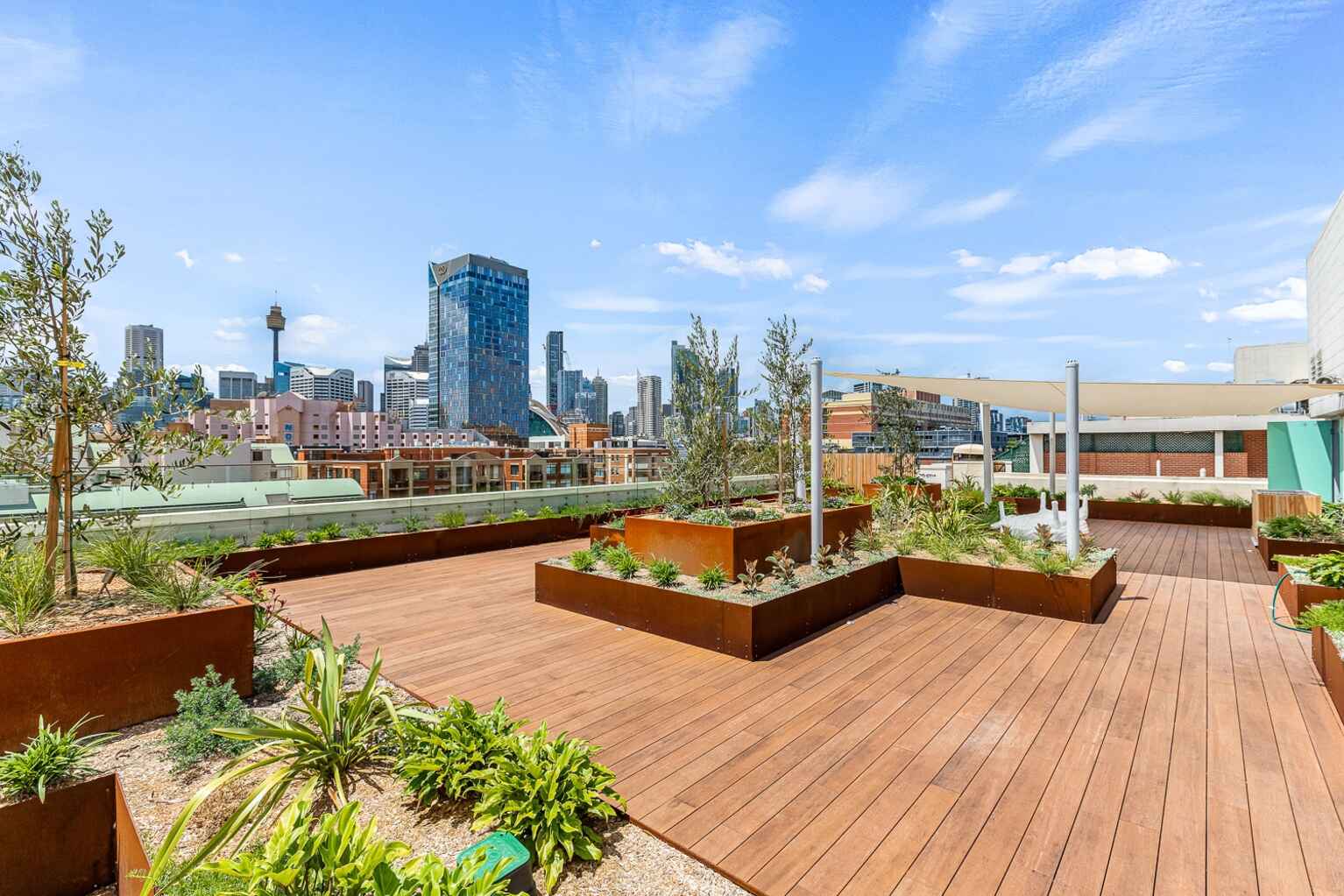 Level 1/N109/233 Harris Street Pyrmont