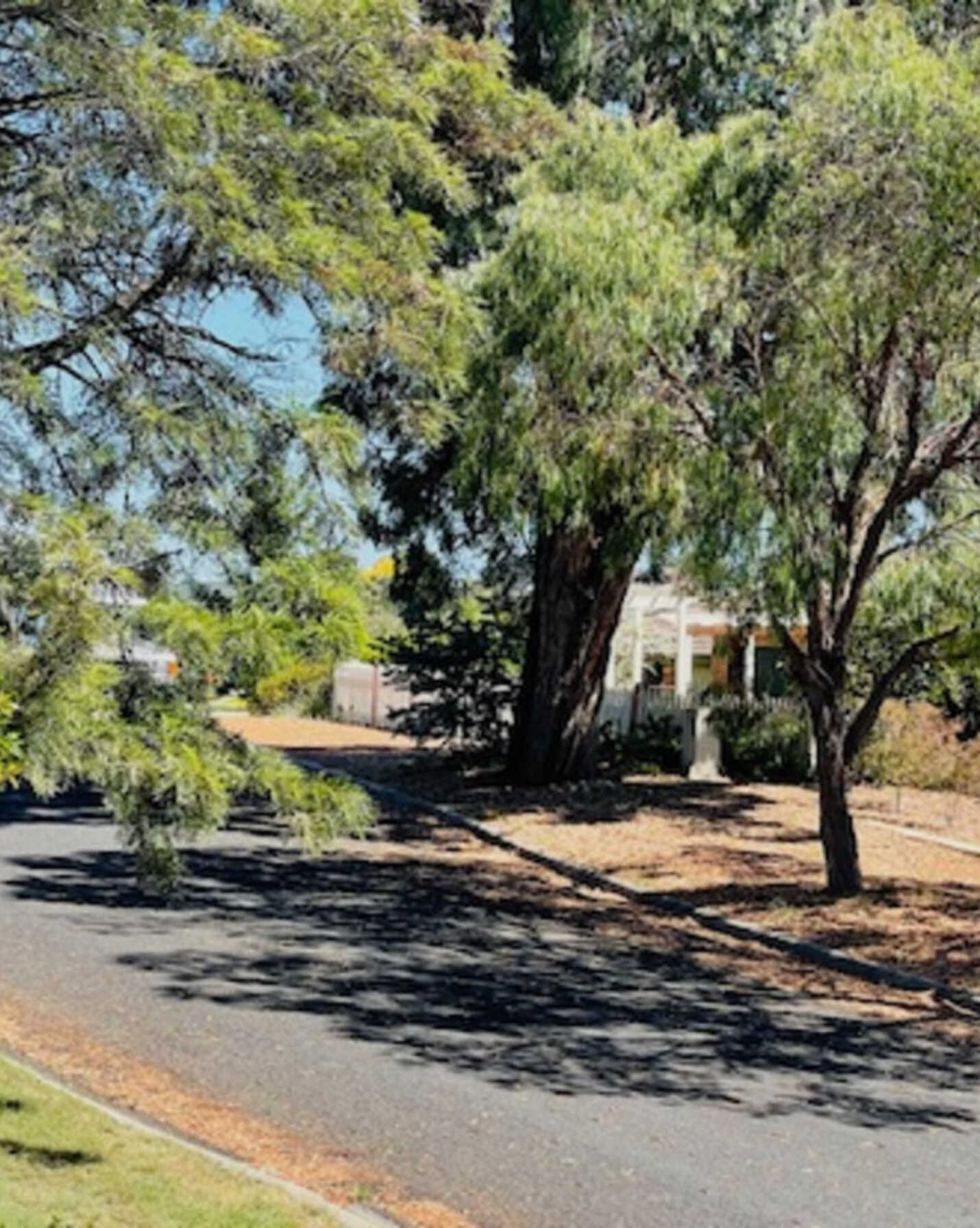 3 Cantle Place Karabar Queanbeyan, Queanbeyan - Thumbnail 3