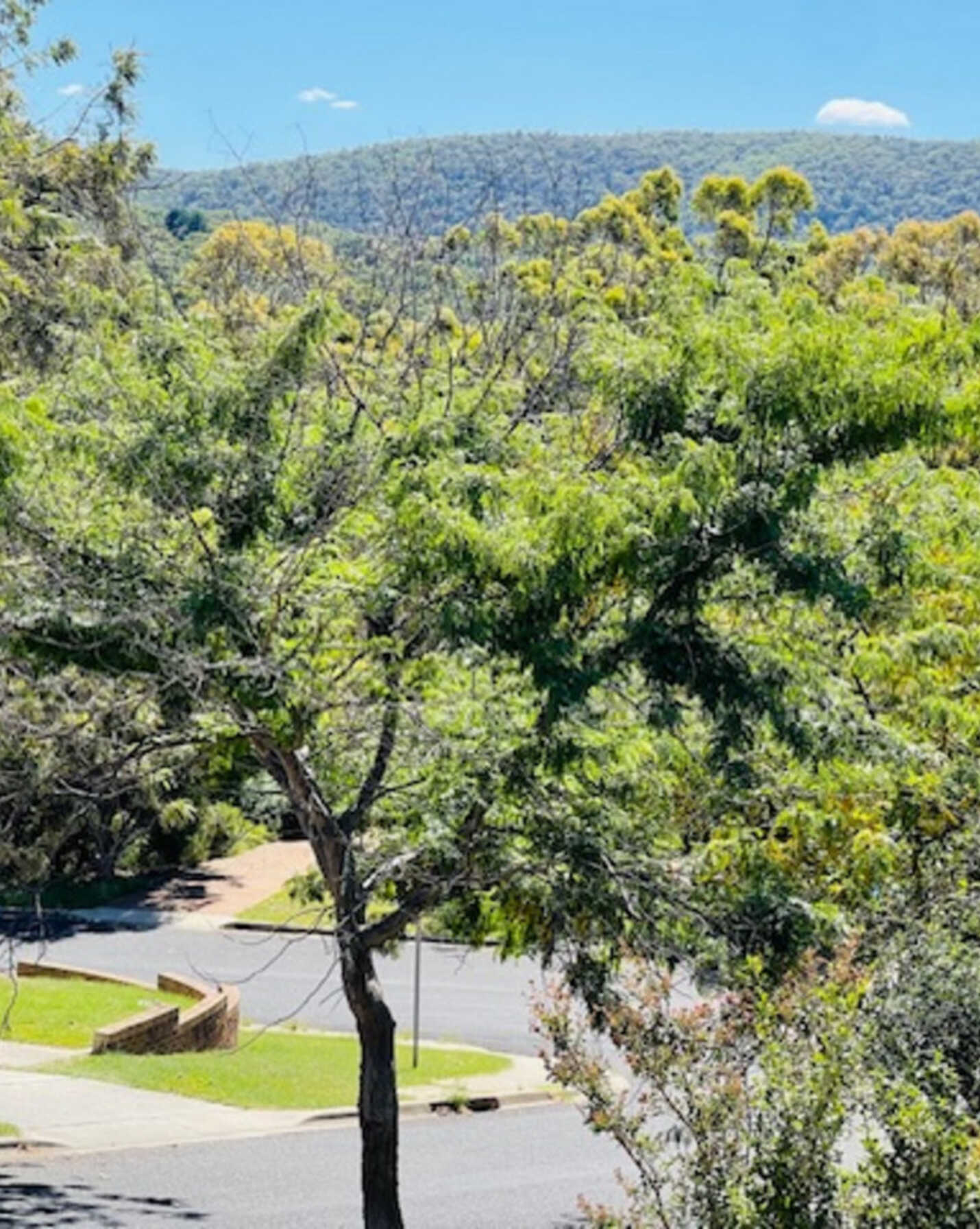 3 Cantle Place Karabar Queanbeyan, Queanbeyan - Thumbnail 4