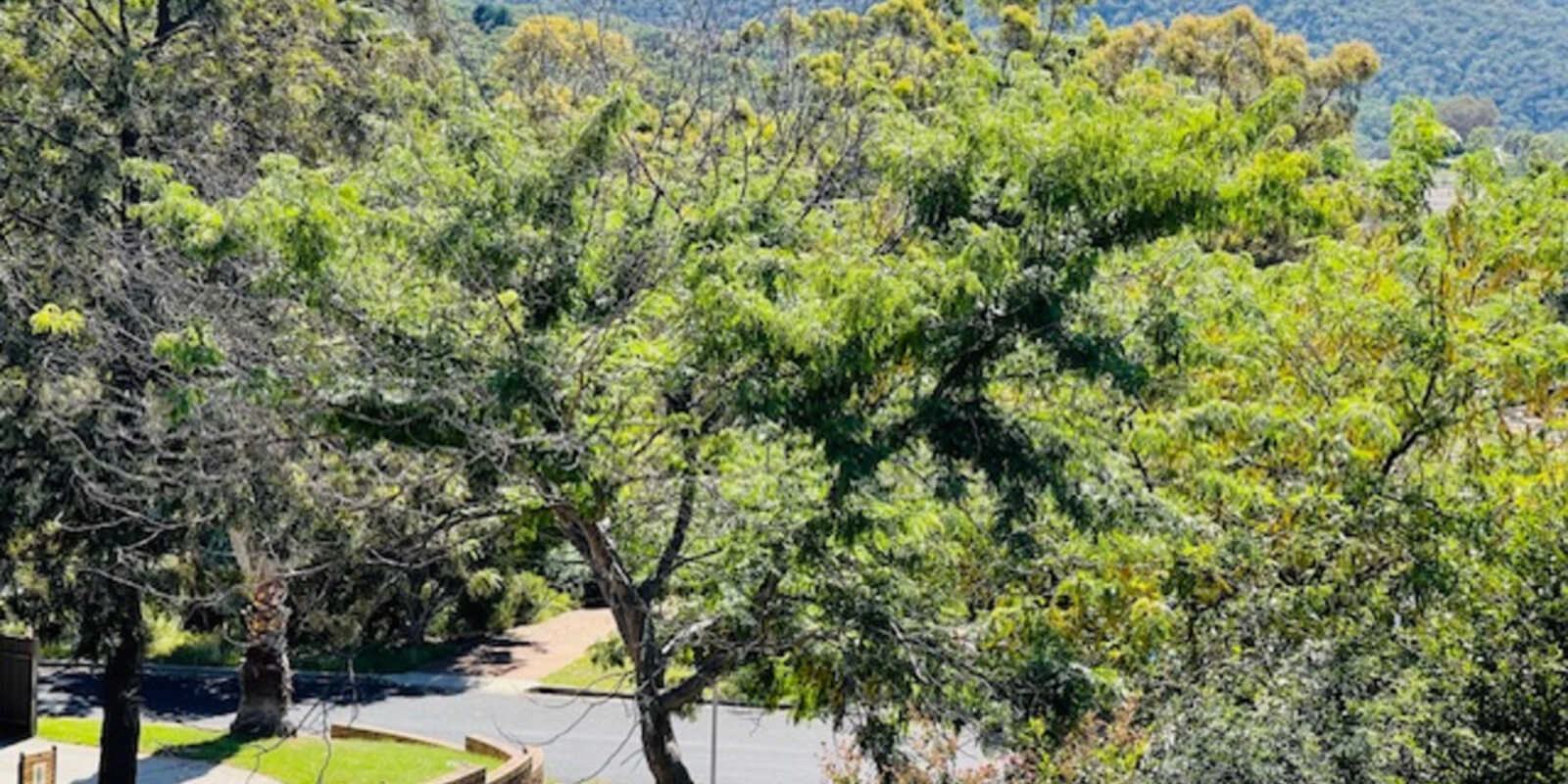 3 Cantle Place Karabar Queanbeyan 3 Cantle Place Karabar Queanbeyan