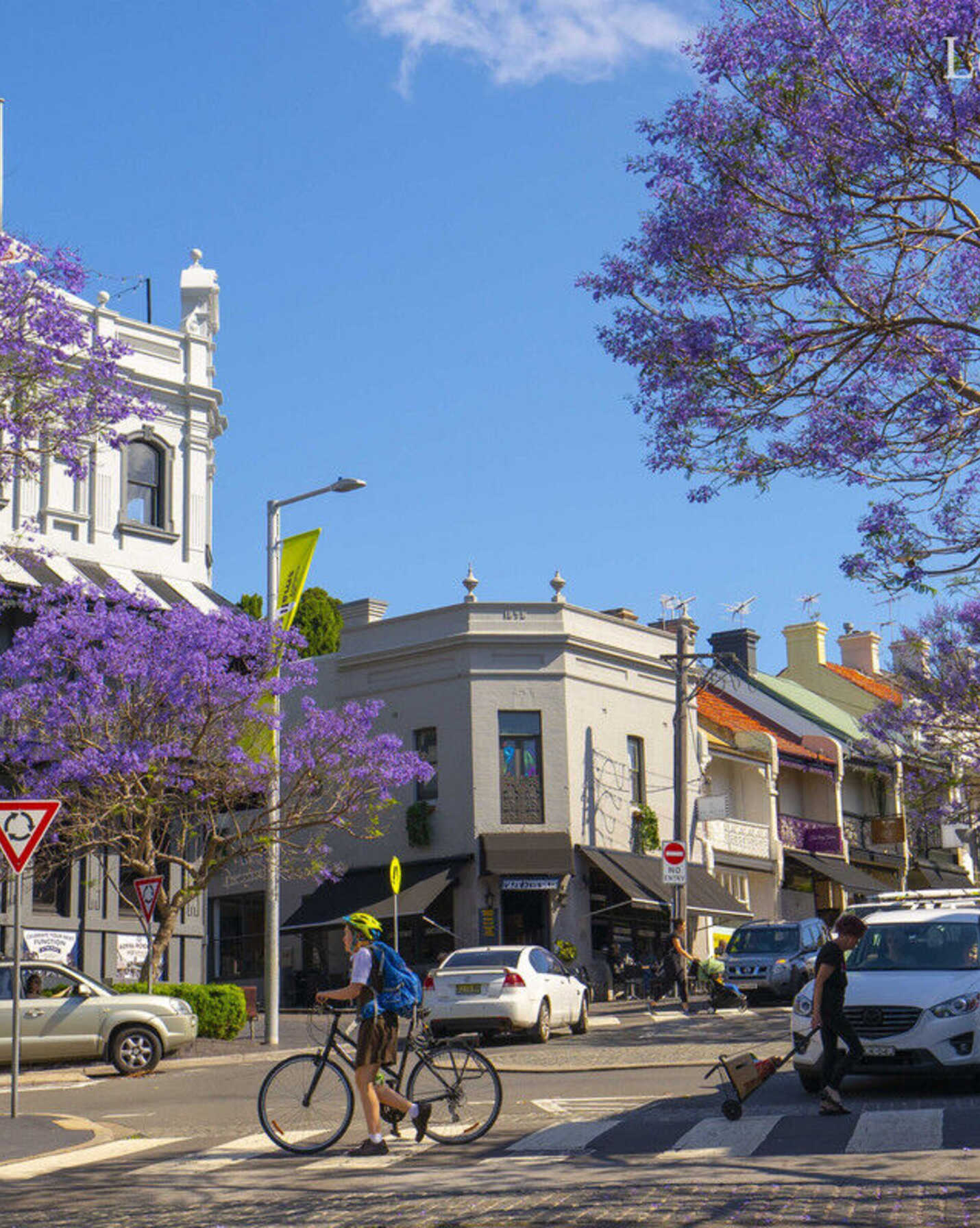 33 Brown Street Paddington, Paddington - Thumbnail 6