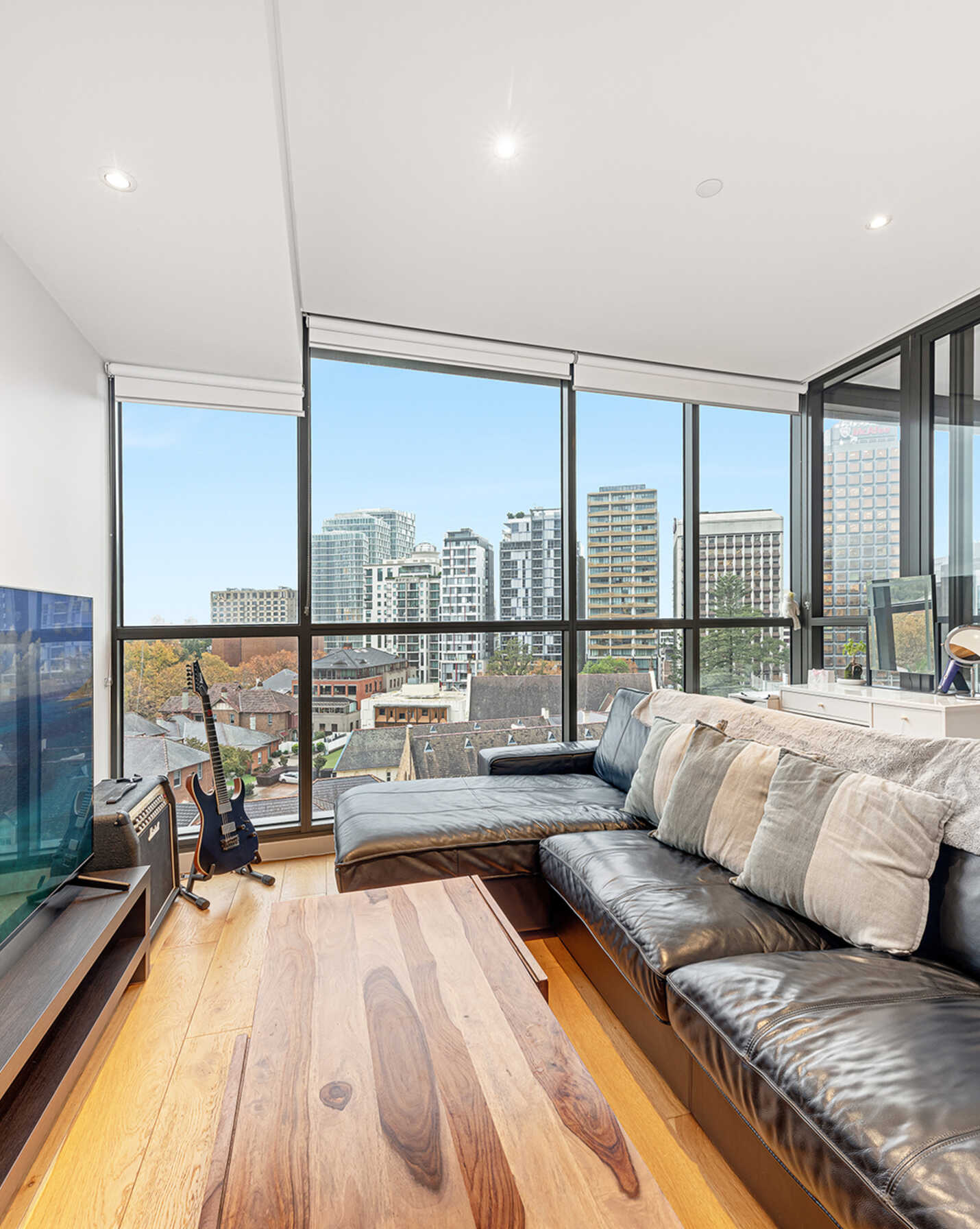 916/225 Pacific Highway North Sydney, Sydney - Thumbnail 2