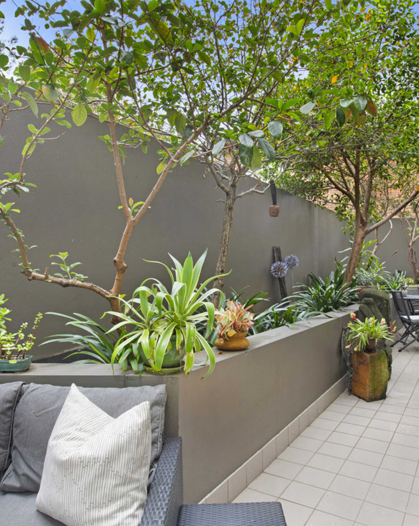 1/4 Rangers Road Neutral Bay, Bay - Thumbnail 2