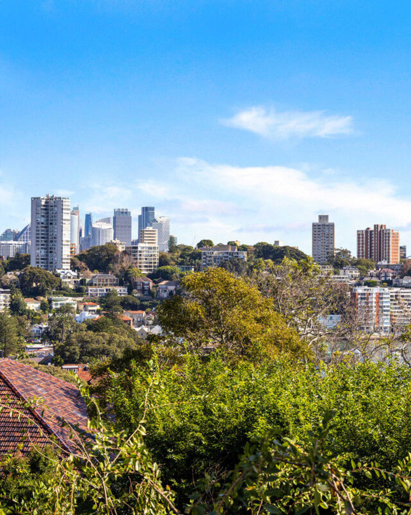 31/36 Fairfax Road Bellevue Hill, Hill - Thumbnail 3