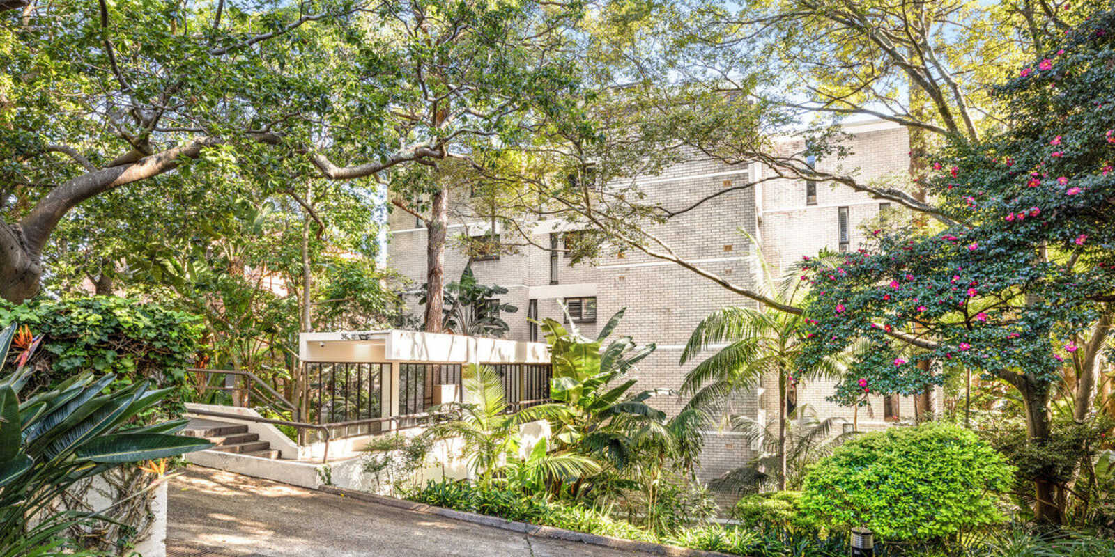 31/36 Fairfax Road Bellevue Hill 31/36 Fairfax Road Bellevue Hill