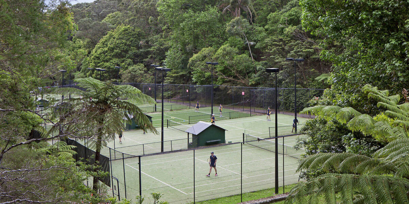 31/36 Fairfax Road Bellevue Hill 31/36 Fairfax Road Bellevue Hill