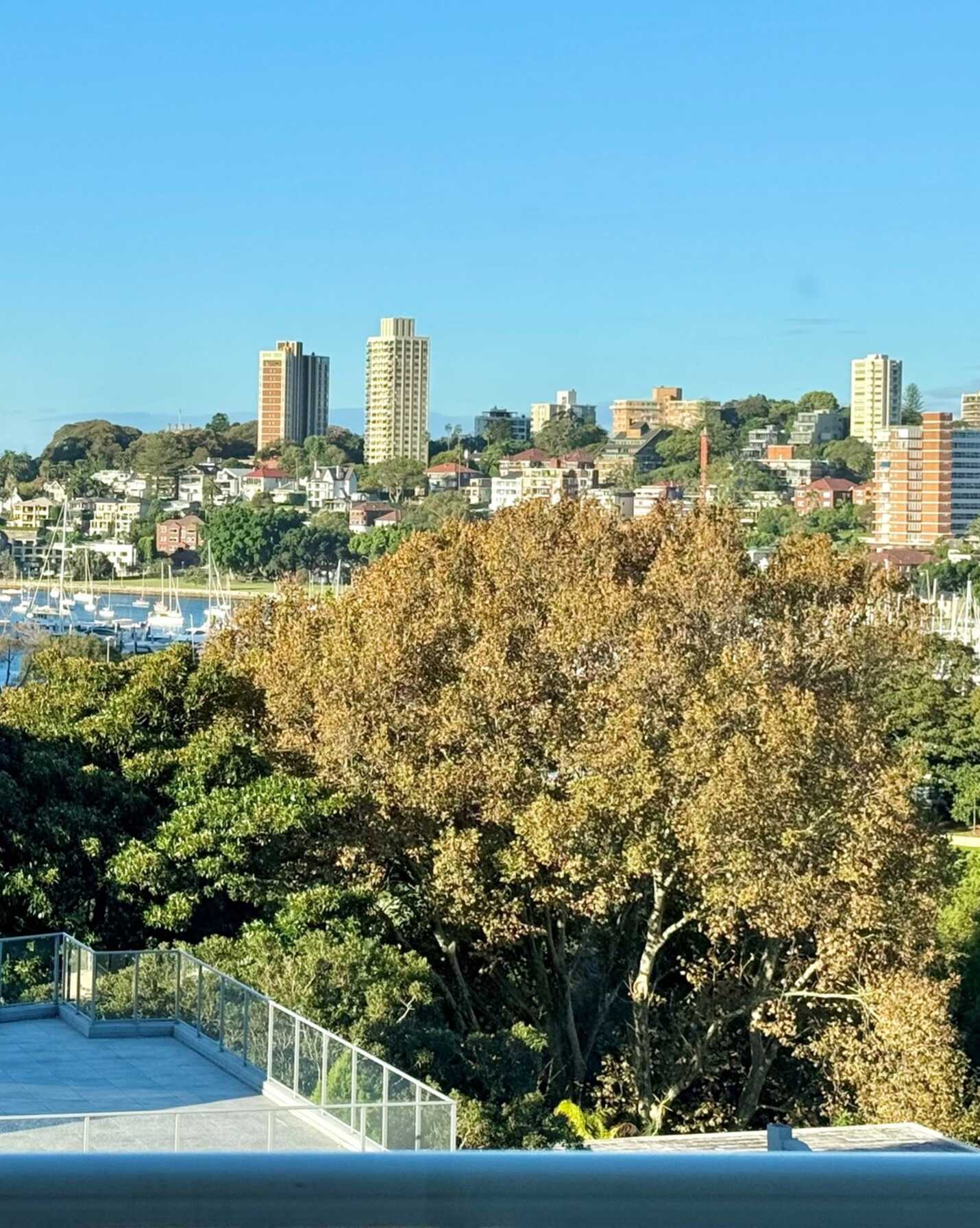 807/76 Roslyn Gardens Rushcutters Bay, Bay - Thumbnail 3