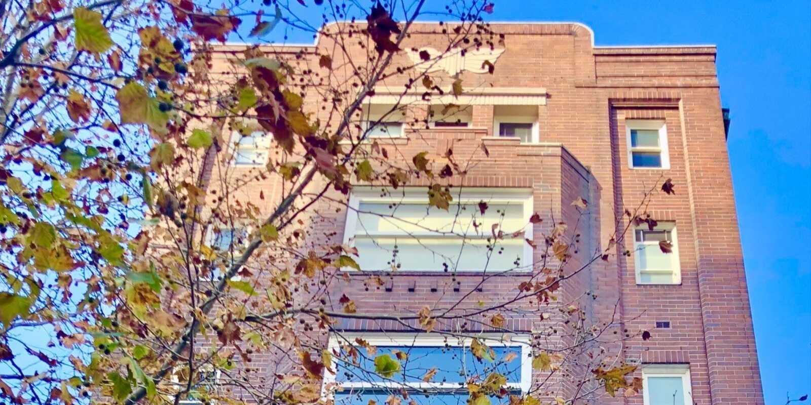 36/20-22 Springfield Avenue Potts Point 36/20-22 Springfield Avenue Potts Point