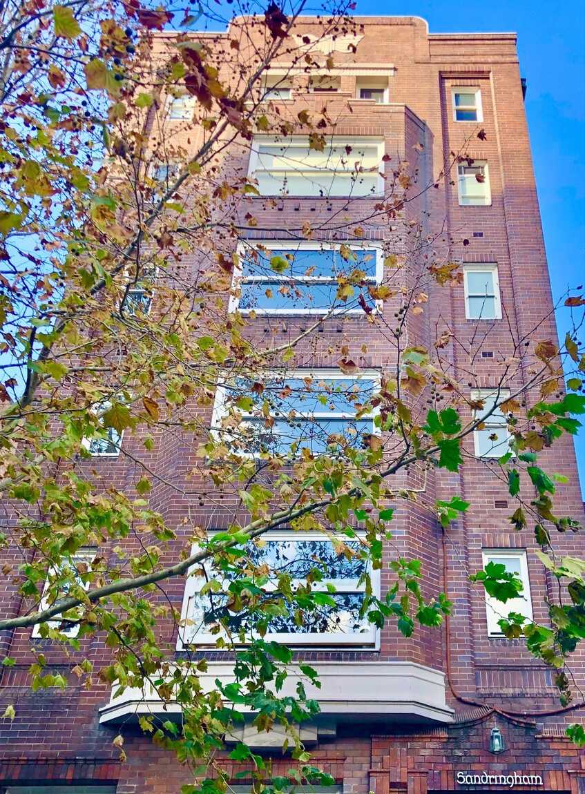 36/20-22 Springfield Avenue Potts Point 36/20-22 Springfield Avenue Potts Point