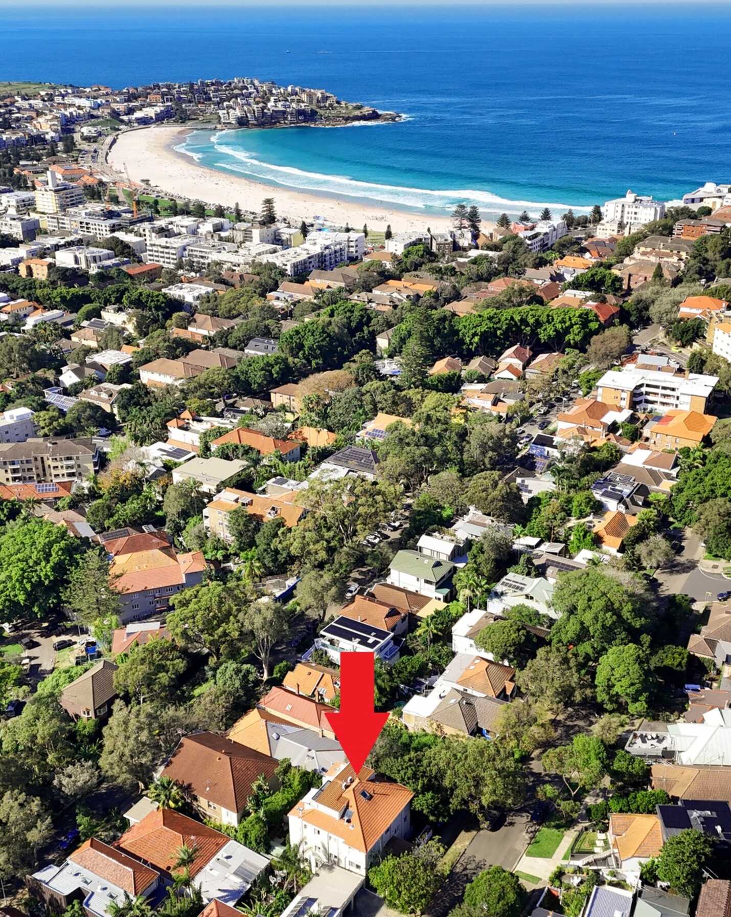 5/41 Edward Street Bondi Beach, Beach - Thumbnail 7