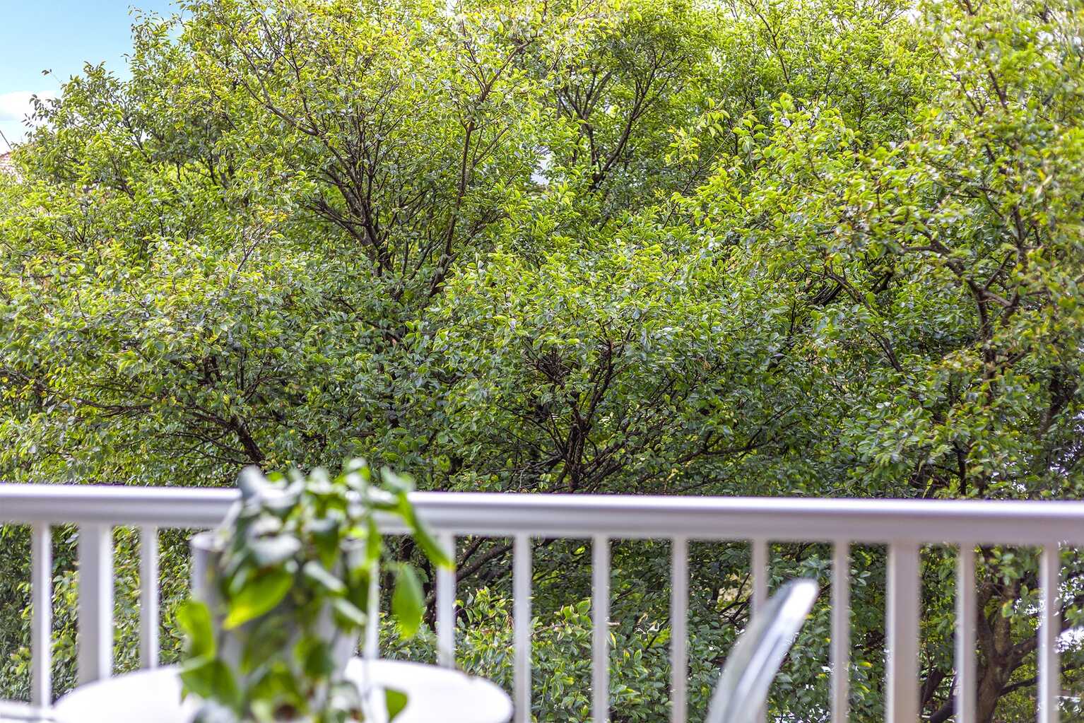 503/76 Roslyn Gardens Rushcutters Bay 503/76 Roslyn Gardens Rushcutters Bay