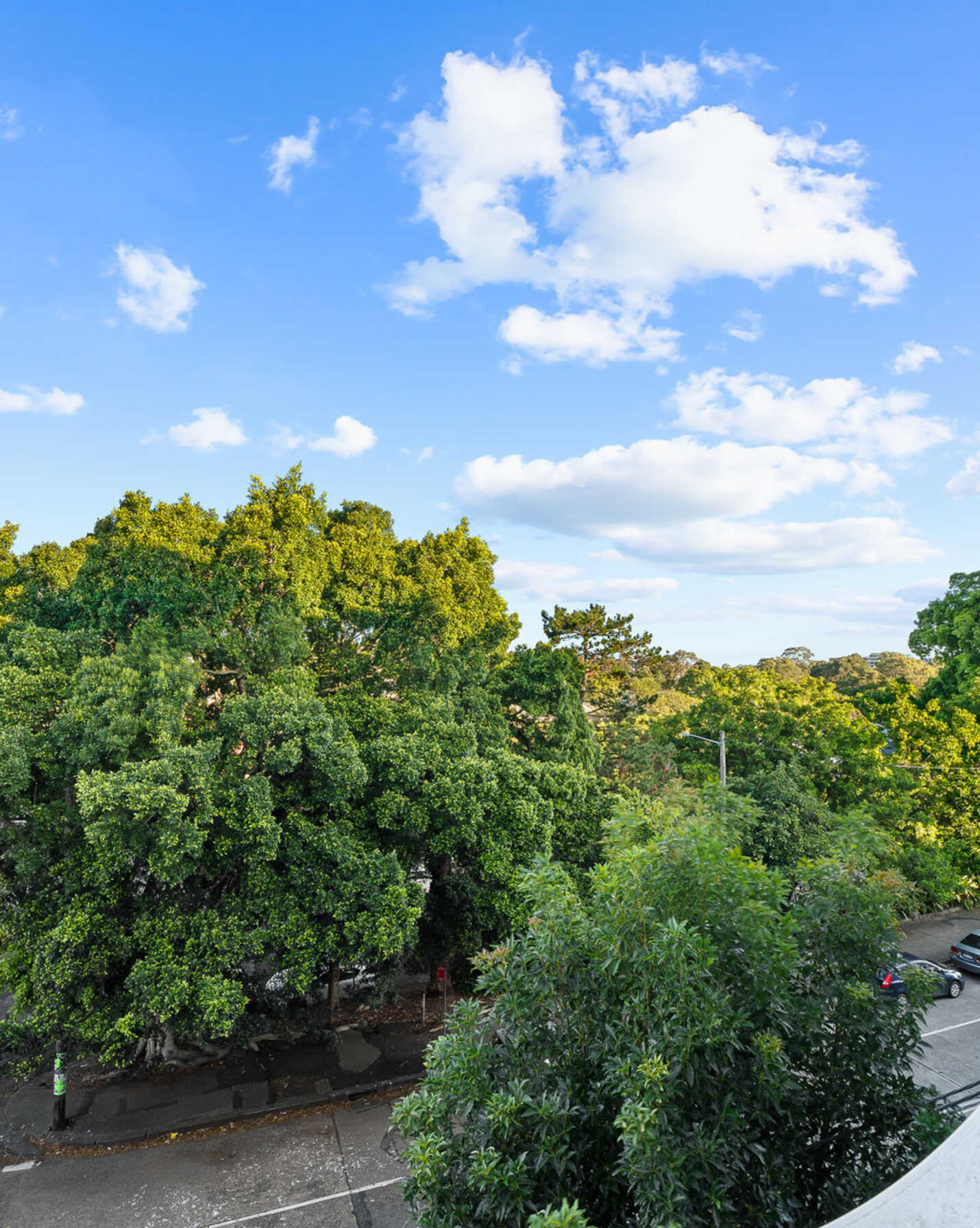 312/20 McGill Street Lewisham, Lewisham - Thumbnail 6