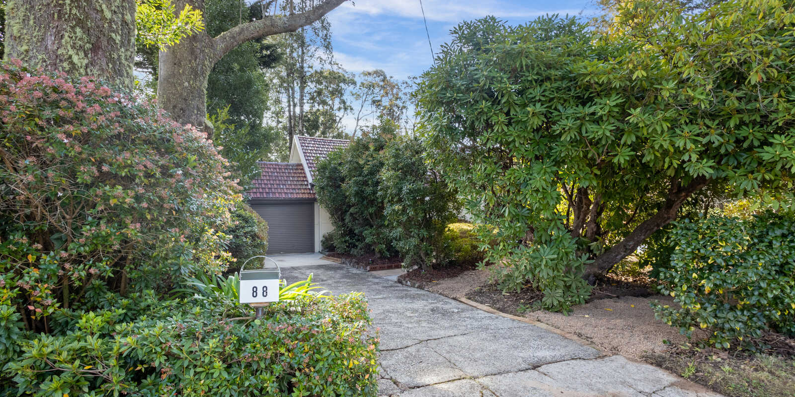 88 Evans Lookout Road Blackheath 88 Evans Lookout Road Blackheath