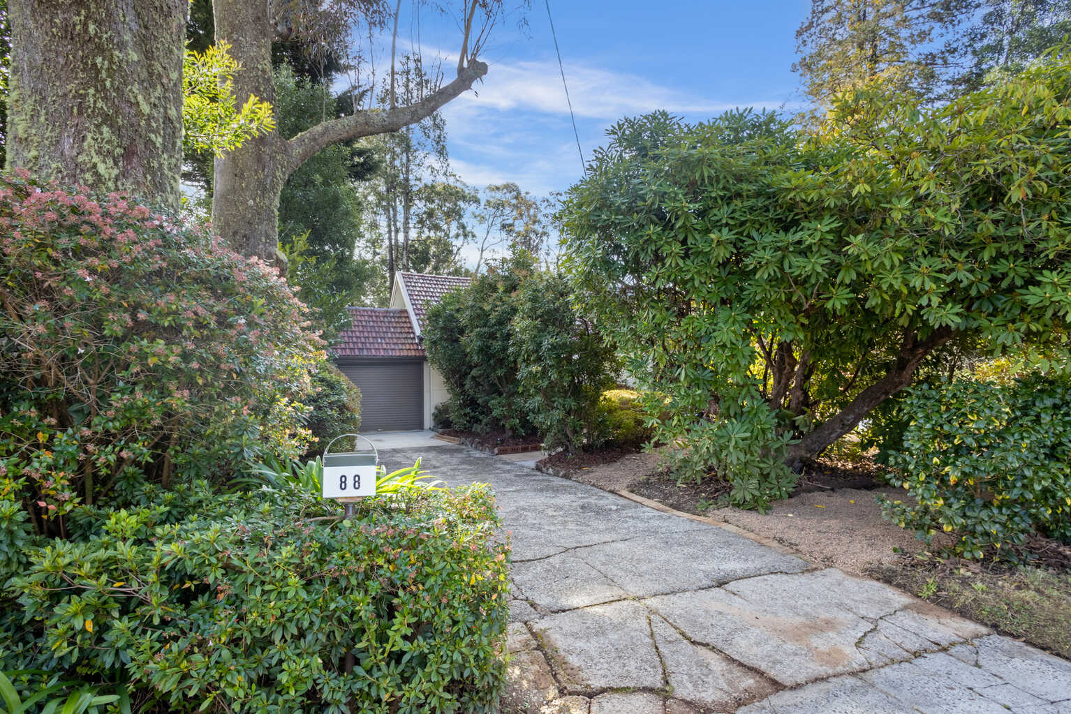 88 Evans Lookout Road Blackheath 88 Evans Lookout Road Blackheath