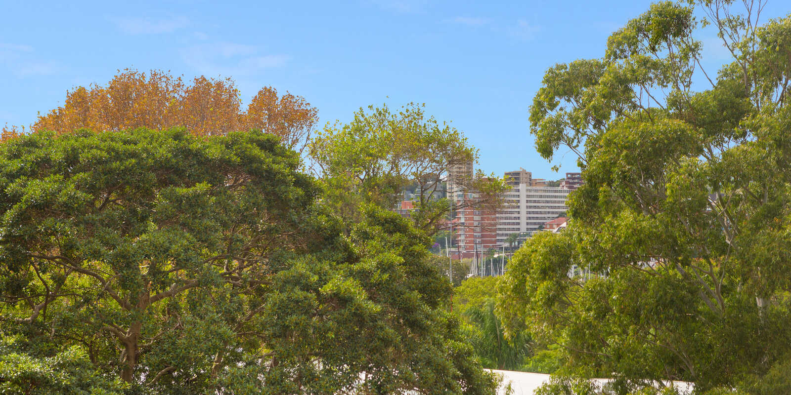 301/76 Roslyn Gardens Rushcutters Bay