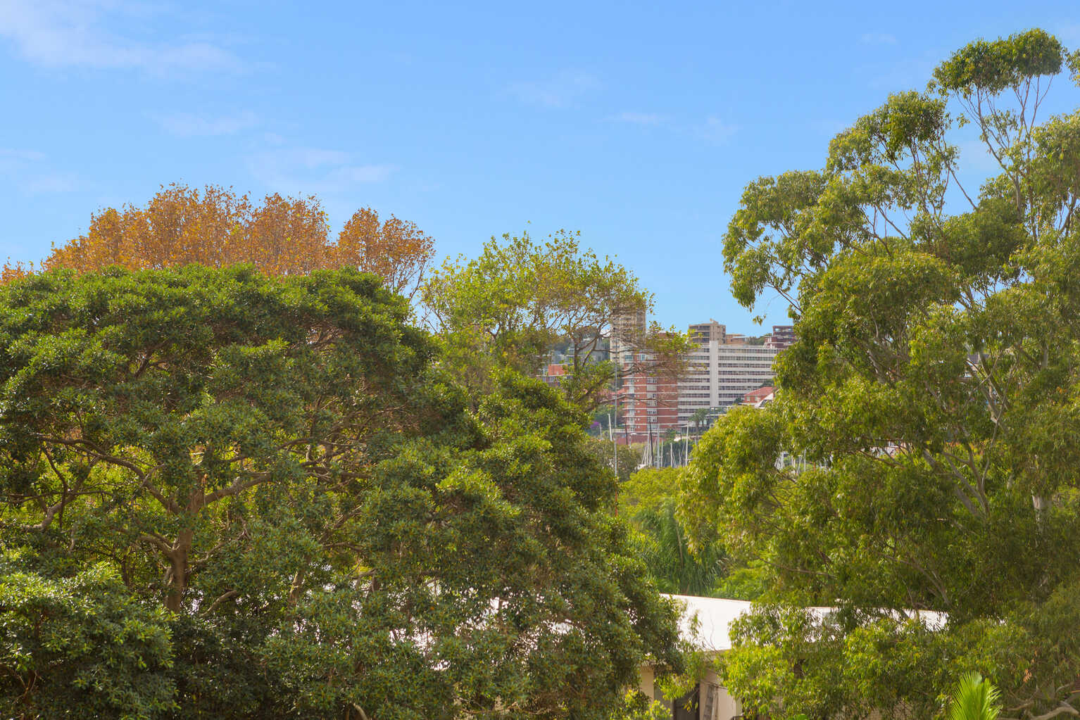 301/76 Roslyn Gardens Rushcutters Bay
