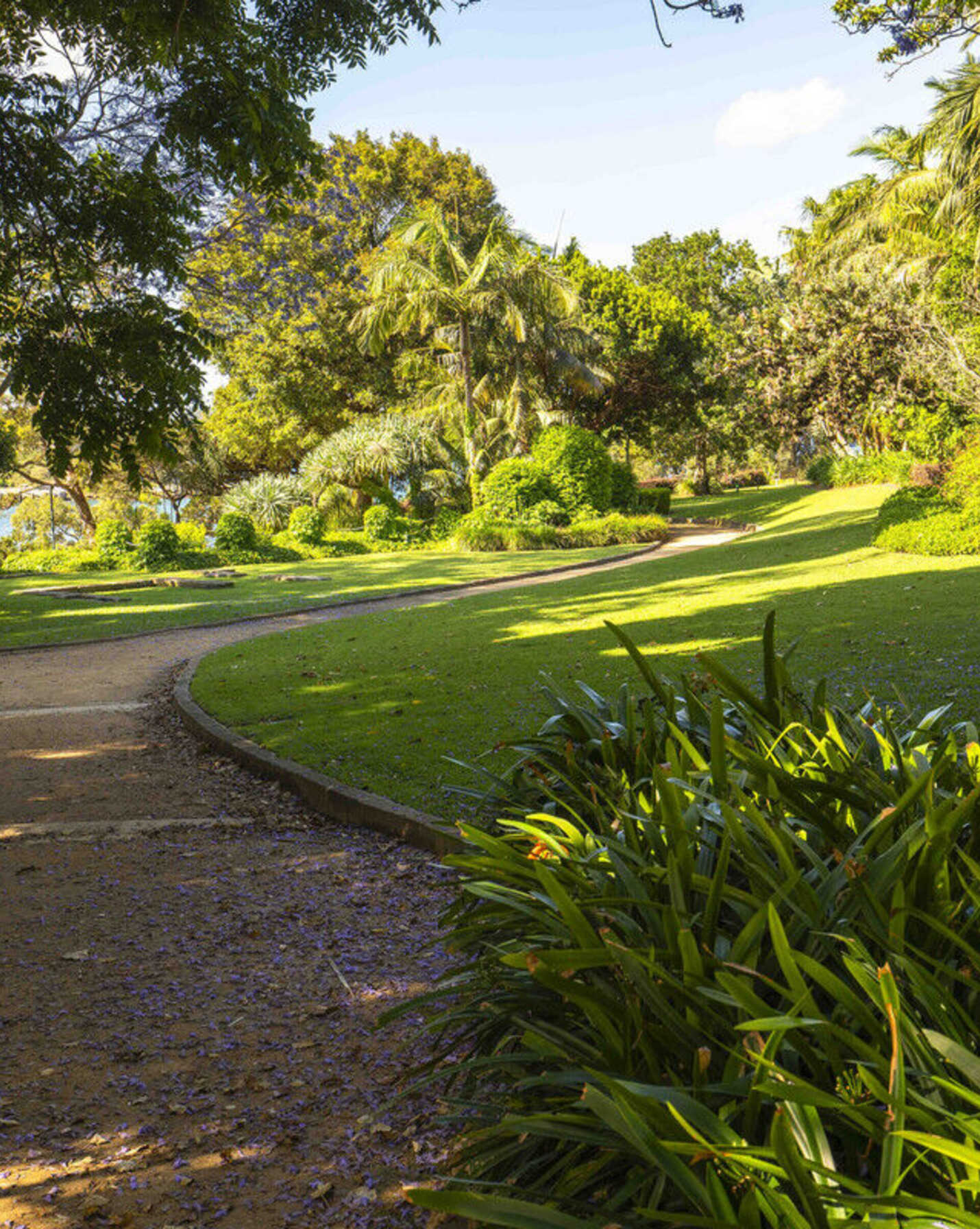 37/11 Yarranabbe Road Darling Point, Point - Thumbnail 4