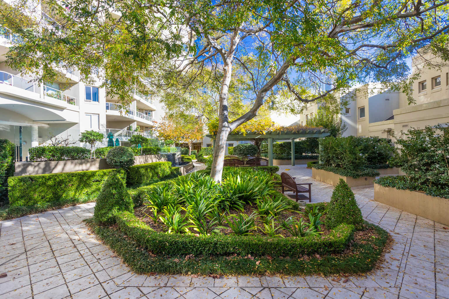 611/63 Crown Street Woolloomooloo