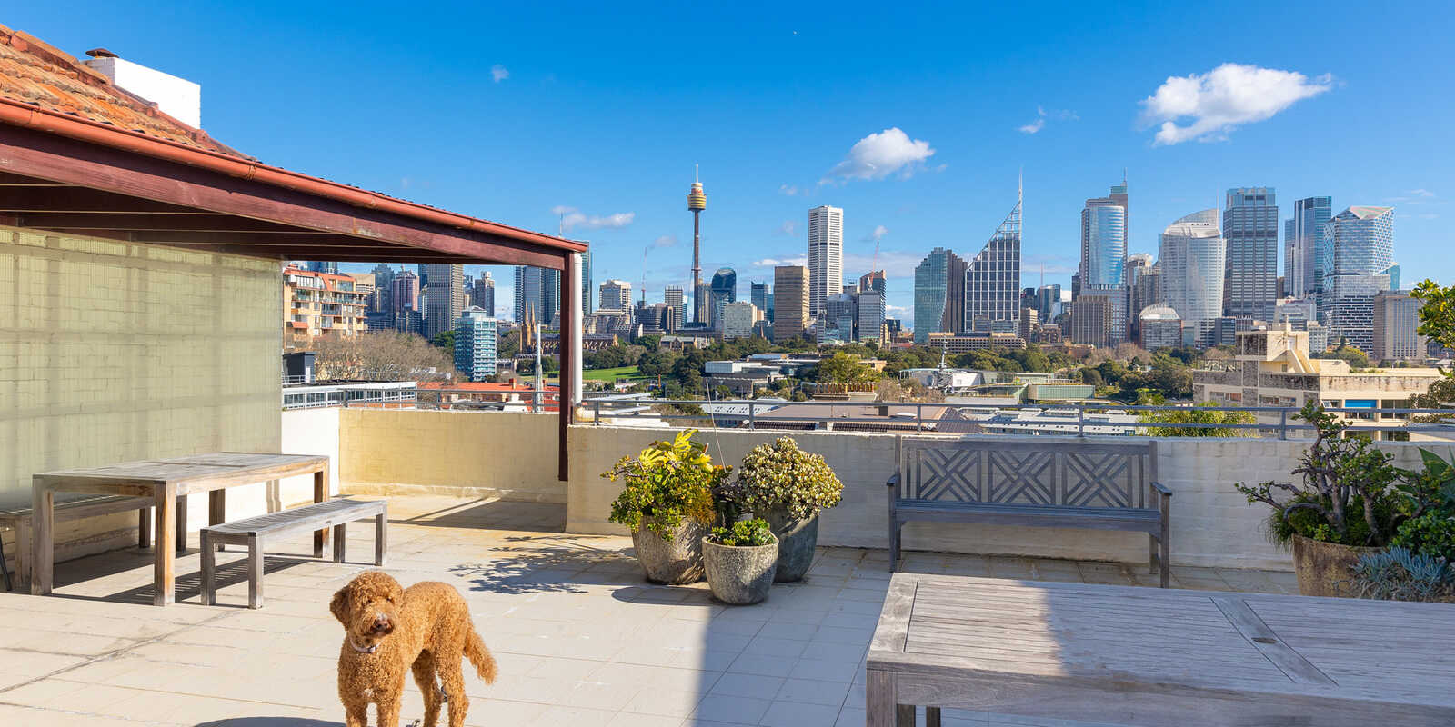 21/10a Challis Avenue Potts Point 21/10a Challis Avenue Potts Point
