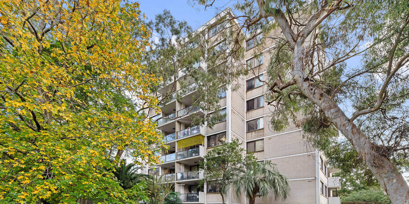 10/17 Everton Road Strathfield 10/17 Everton Road Strathfield
