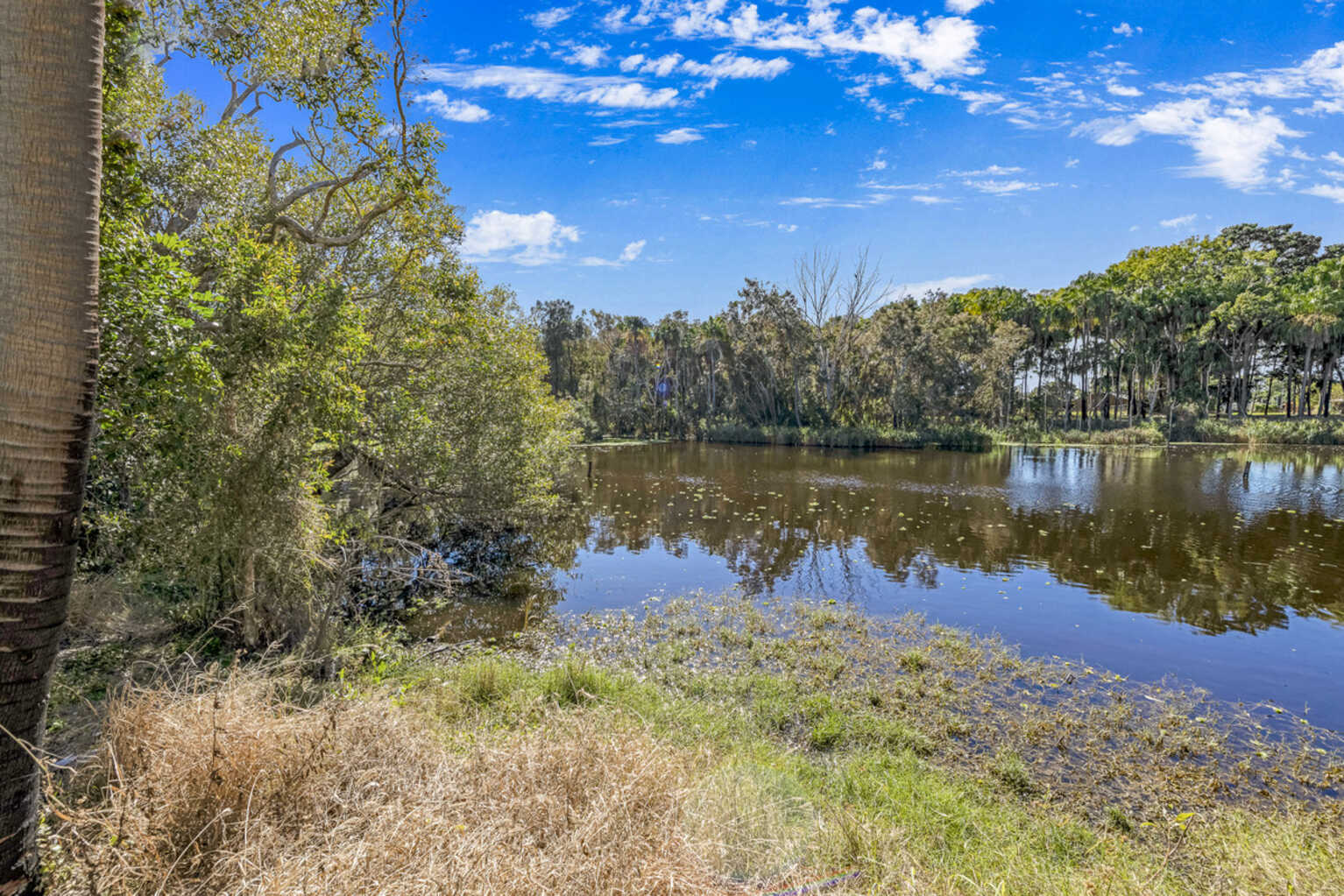 17 Woodlands Lane Moore Park Beach 17 Woodlands Lane Moore Park Beach