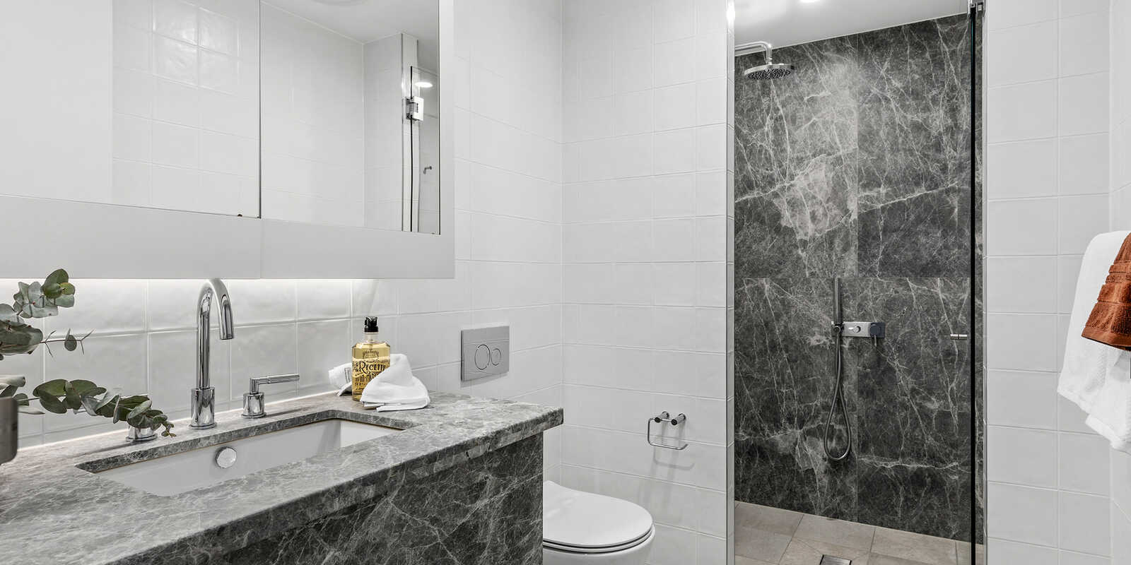 309/161 Brougham Street Potts Point 309/161 Brougham Street Potts Point
