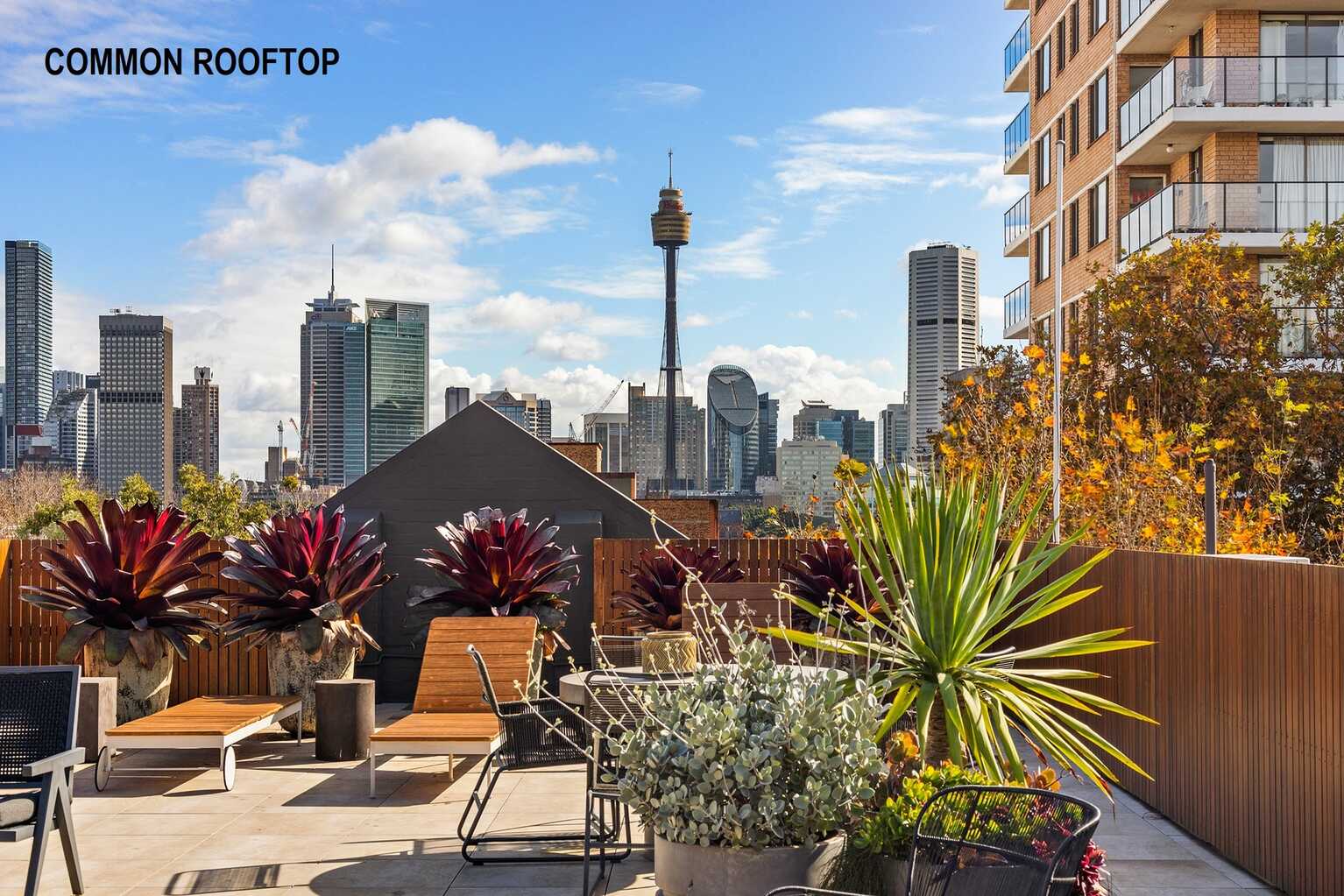 43/18 Springfield Avenue Potts Point 43/18 Springfield Avenue Potts Point