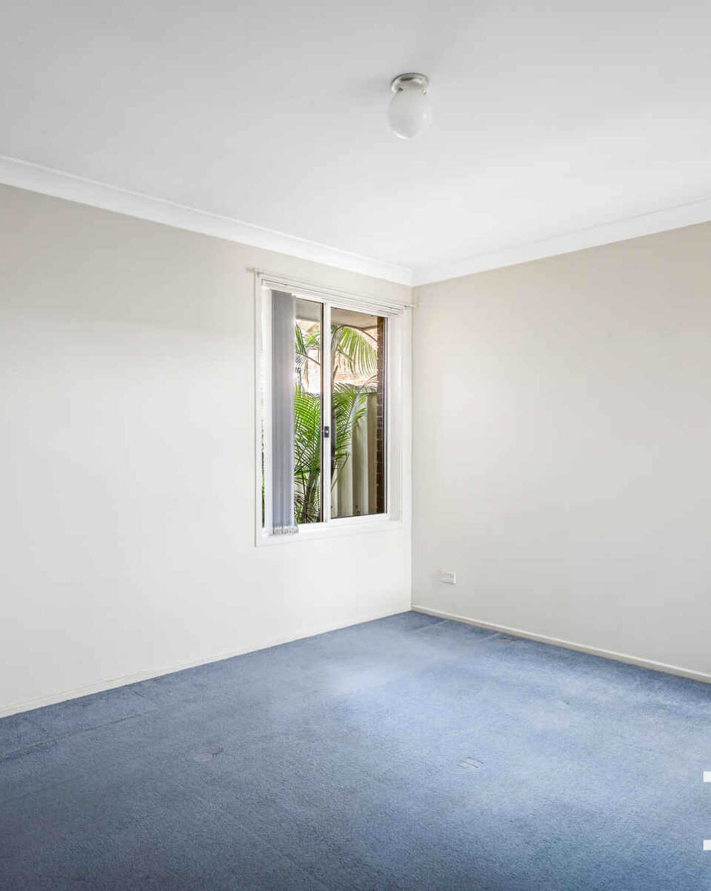 5 Athena Court, St Clair - Thumbnail 7