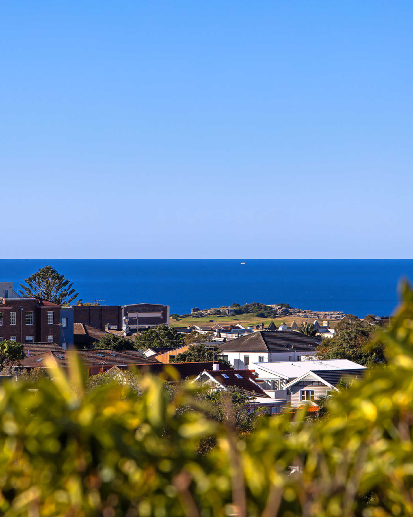 9/290 Birrell Street Bondi, Bondi - Thumbnail 5