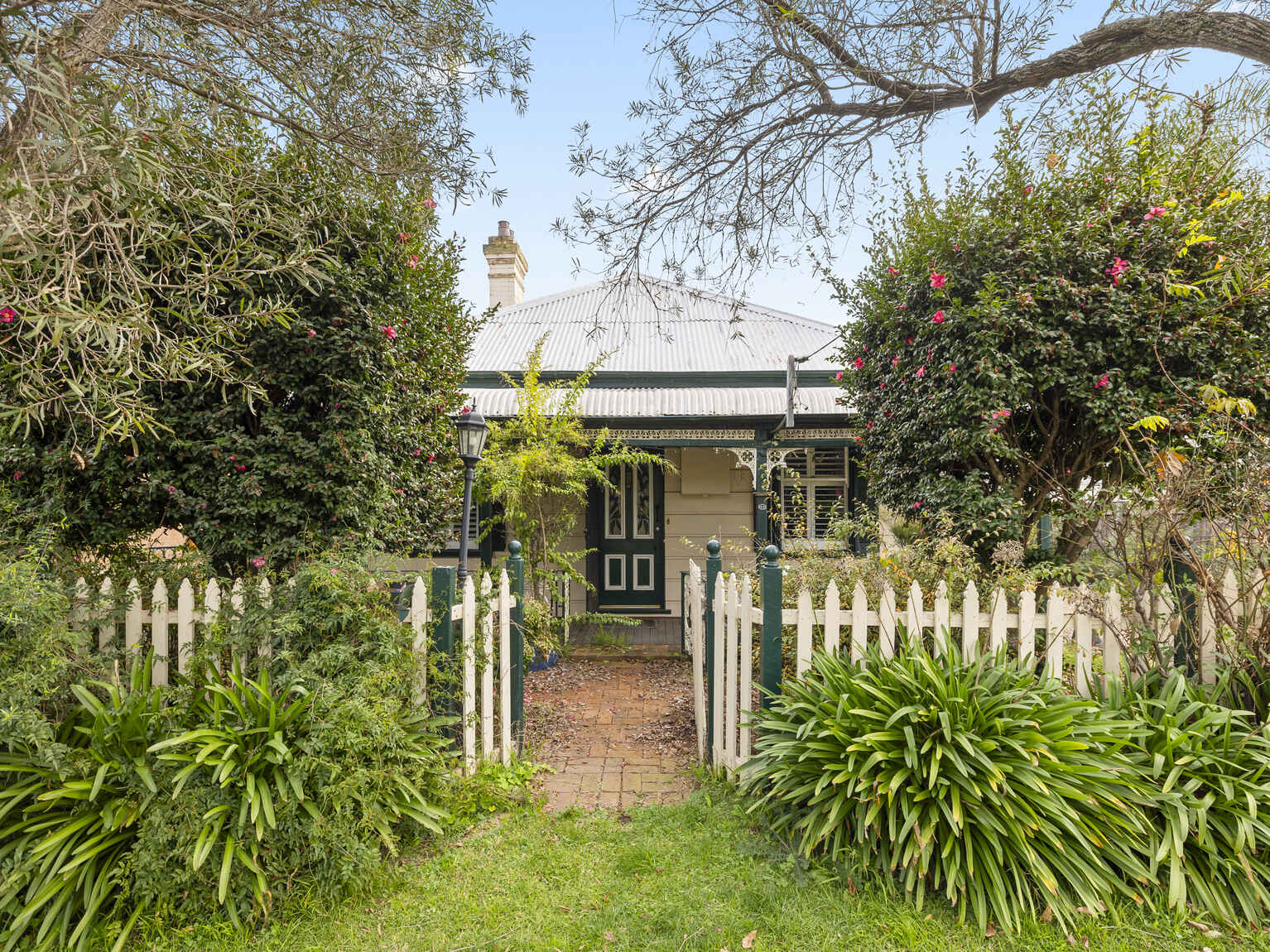 Beechwood 20 Campbell Street Picton