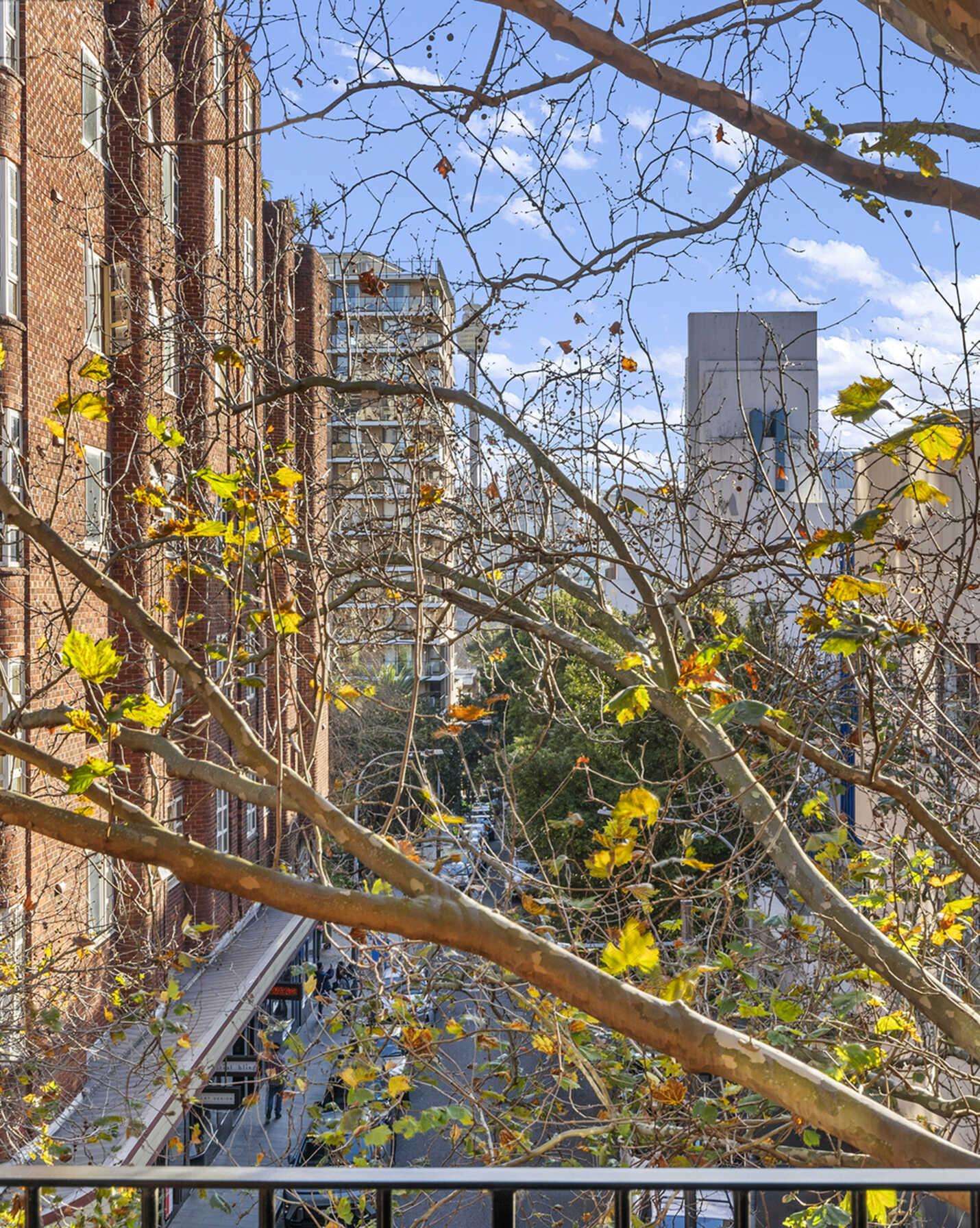 319/50 Macleay Street Potts Point, Point - Thumbnail 3