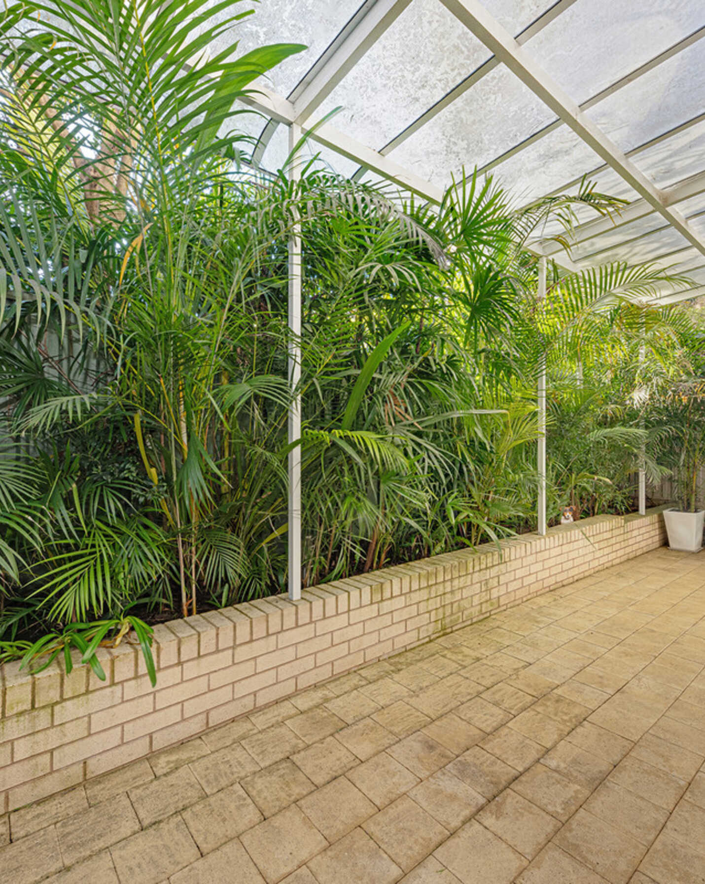 3/2 Cleland Road Artarmon, Artarmon - Thumbnail 8
